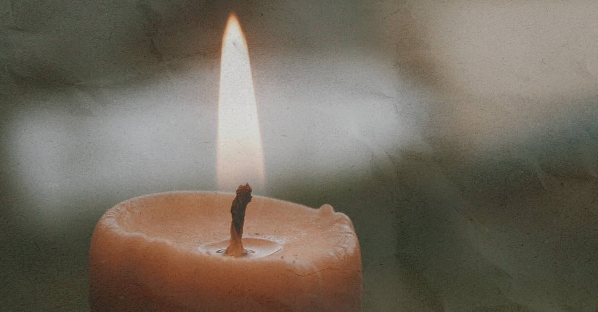 How to Naturally Balance Your Hormones with Beef Organ Superfoods