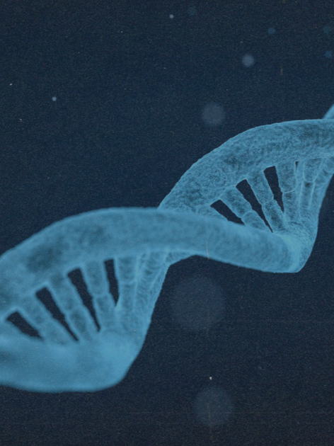 Cornell Just Linked B12 to Why Women Age the Way They Do