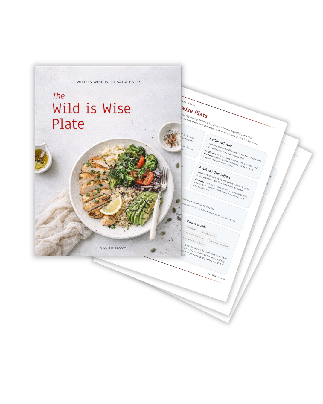 Book titled 'The Wild is Wise Plate' on a table with a dish of sliced chicken, avocado, and salad, with bowls of oil and seasonings.