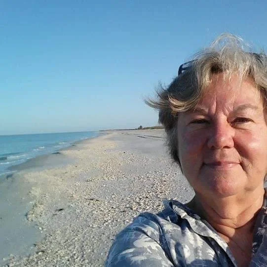 Ann Palmer, Interim President