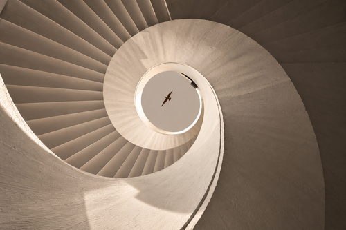 Spiral staircase viewed from below, with a bird in the circular opening.