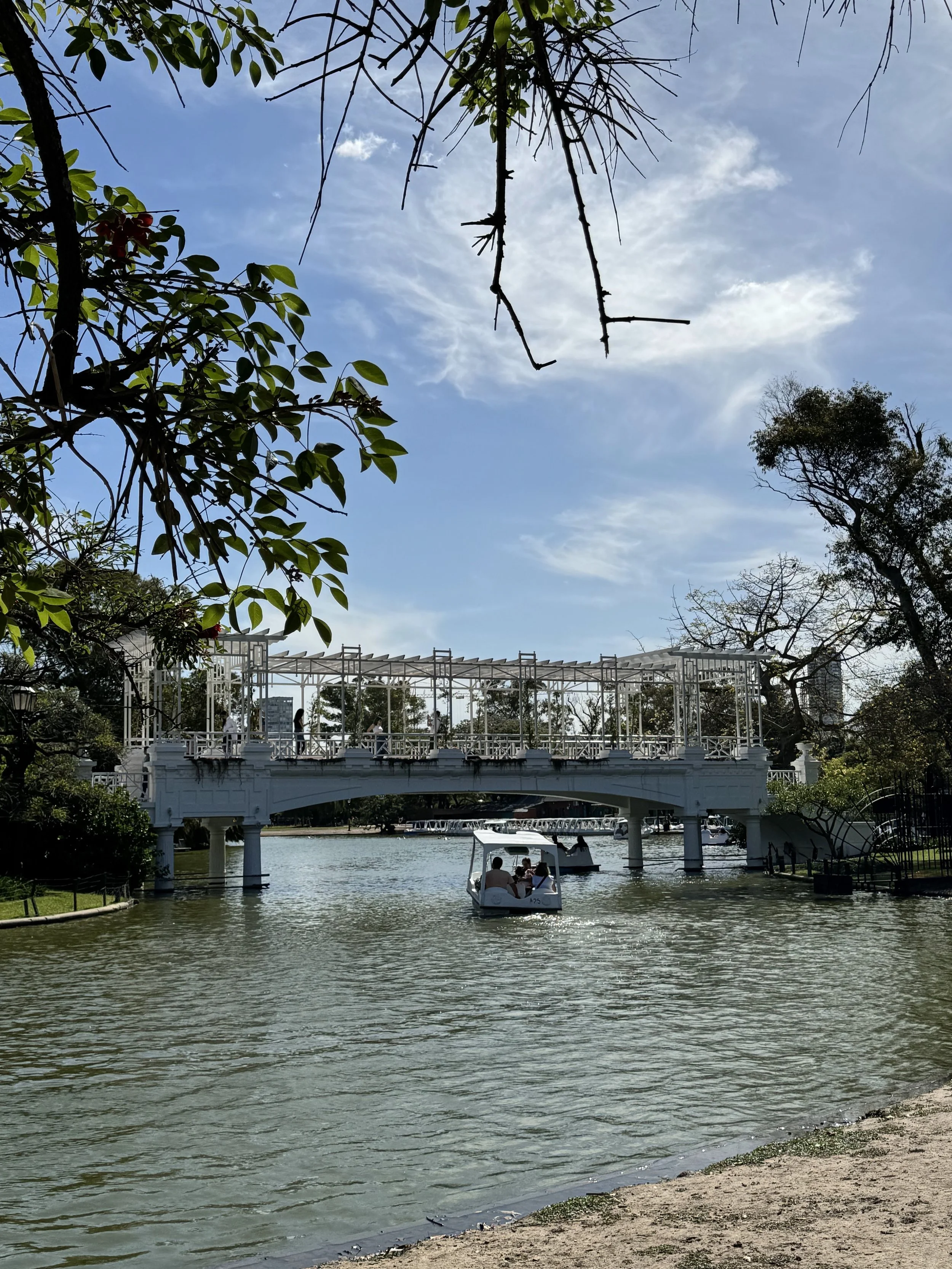 boat under bridge.jpg