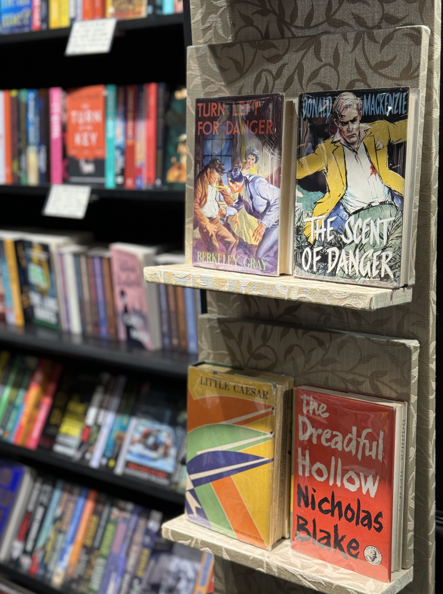 Books displayed on a bookstore shelf, including titles like 'Turn Left for Danger', 'The Scent of Danger', 'Little Caesar', and 'The Dreadful Hollow'.