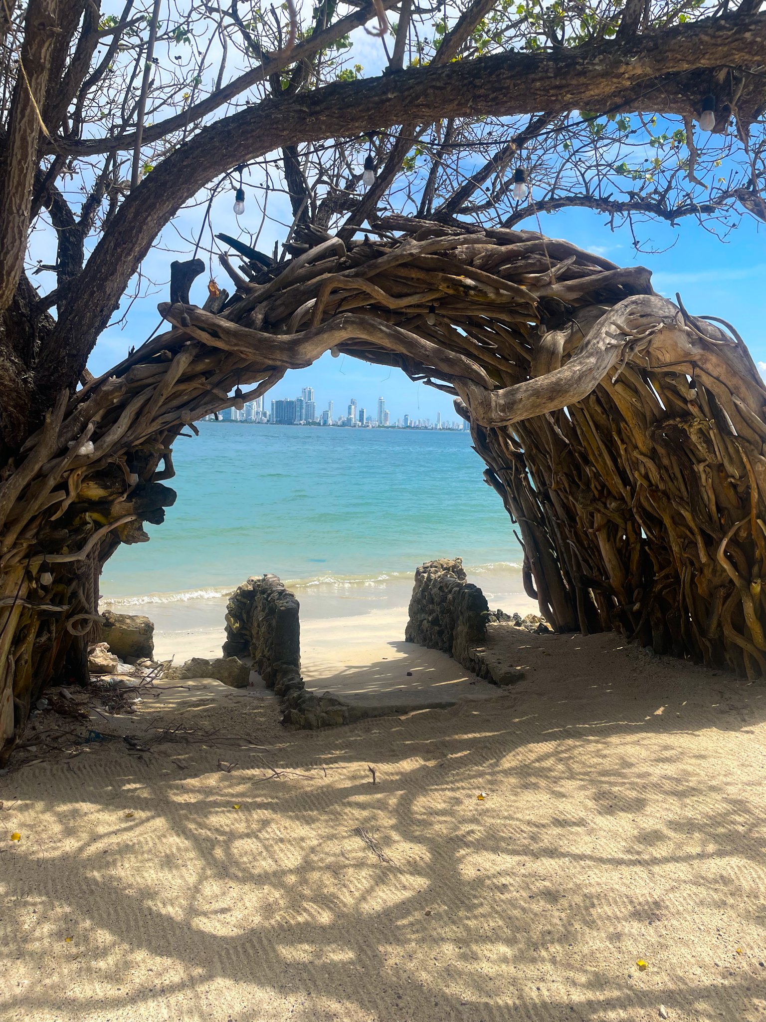 A woven driftwood arch on a sandy beach overlooking the water with a city skyline in the background. There are string lights hanging from a tree above the arch.