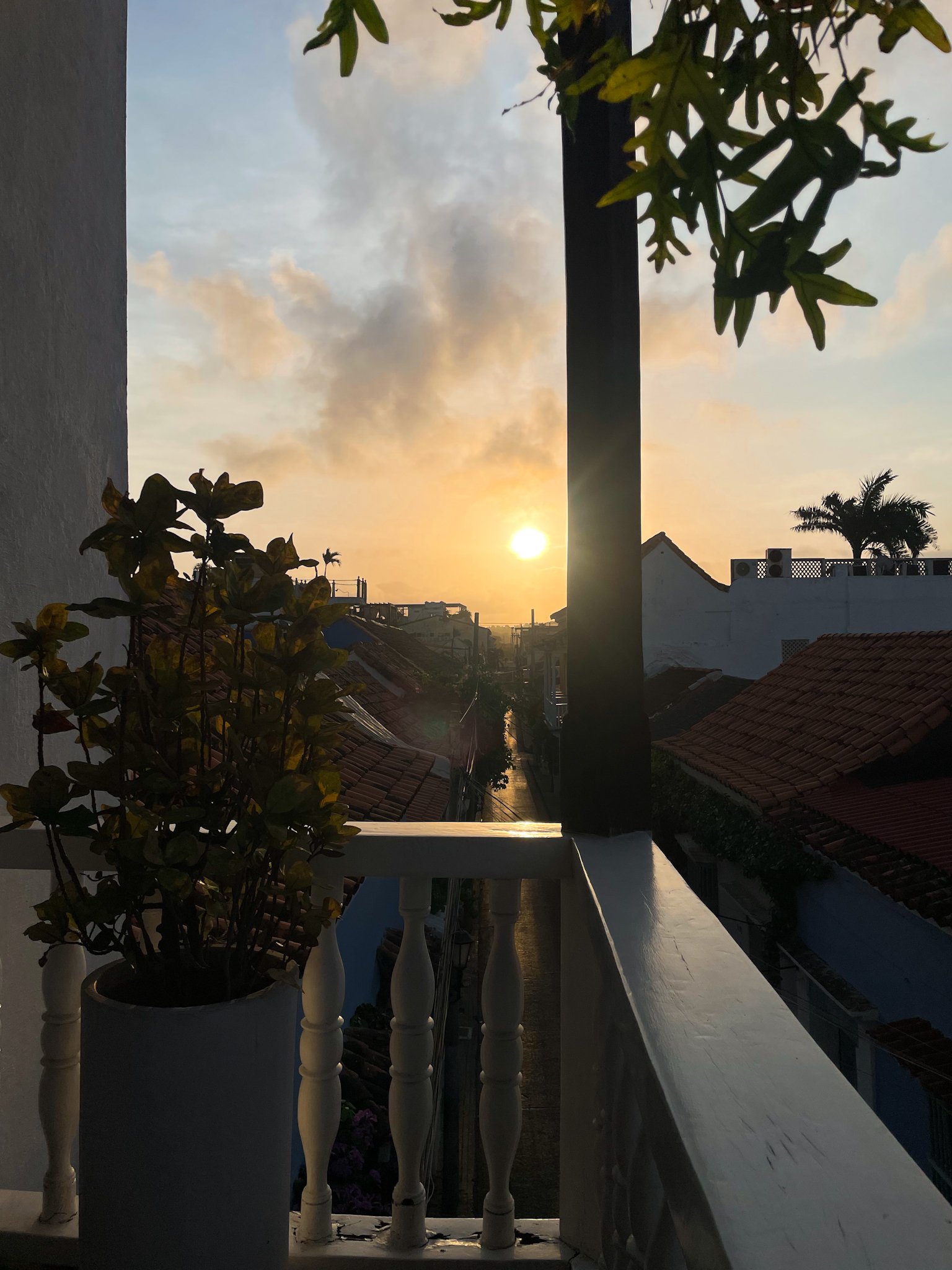 Sunset over a residential area viewed from a balcony, with potted plants on the ledge and rooftops in the background.