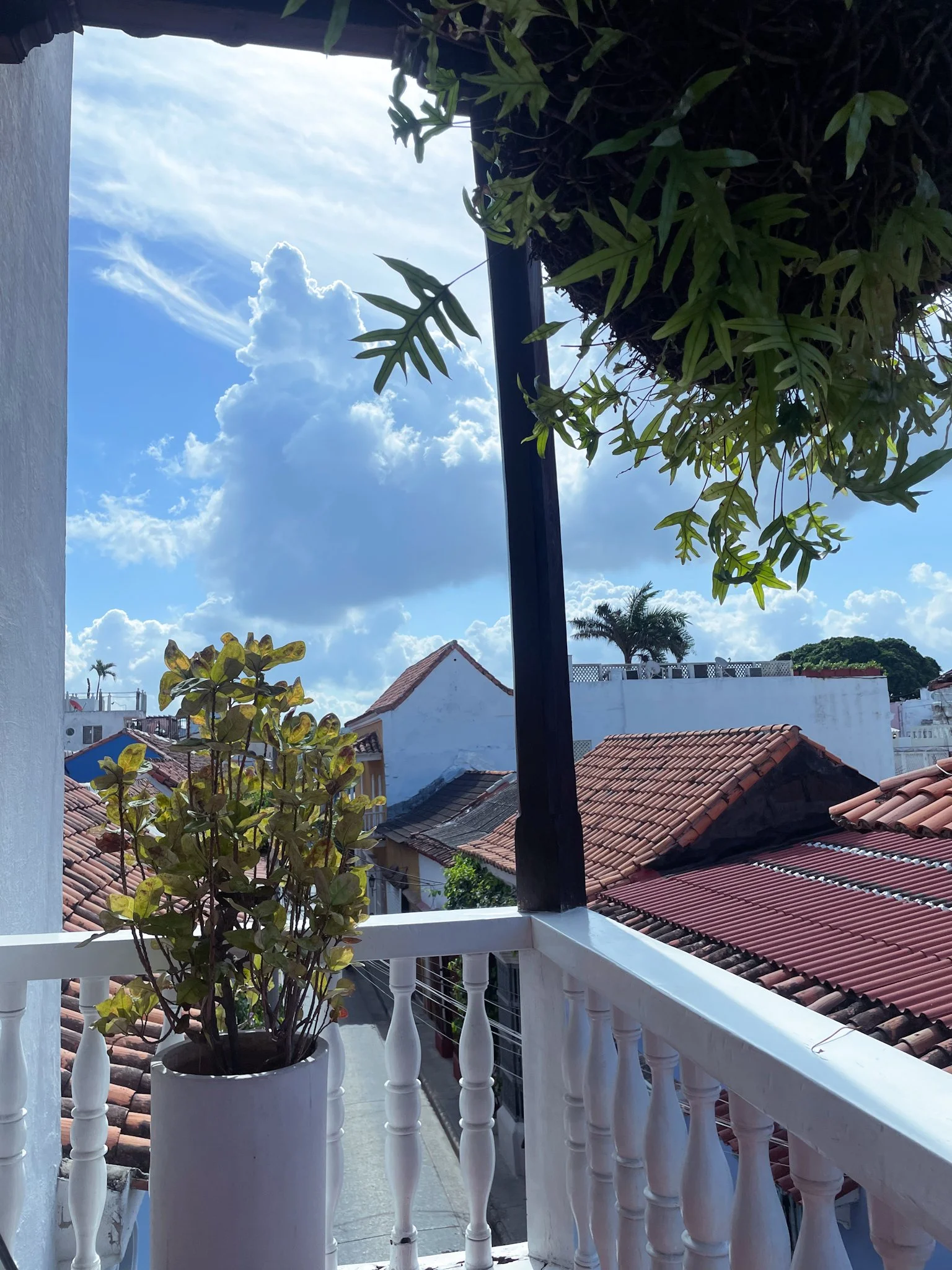 A balcony with a white railing and potted plants, overlooking rooftops of houses with red tile roofs under a partly cloudy sky.