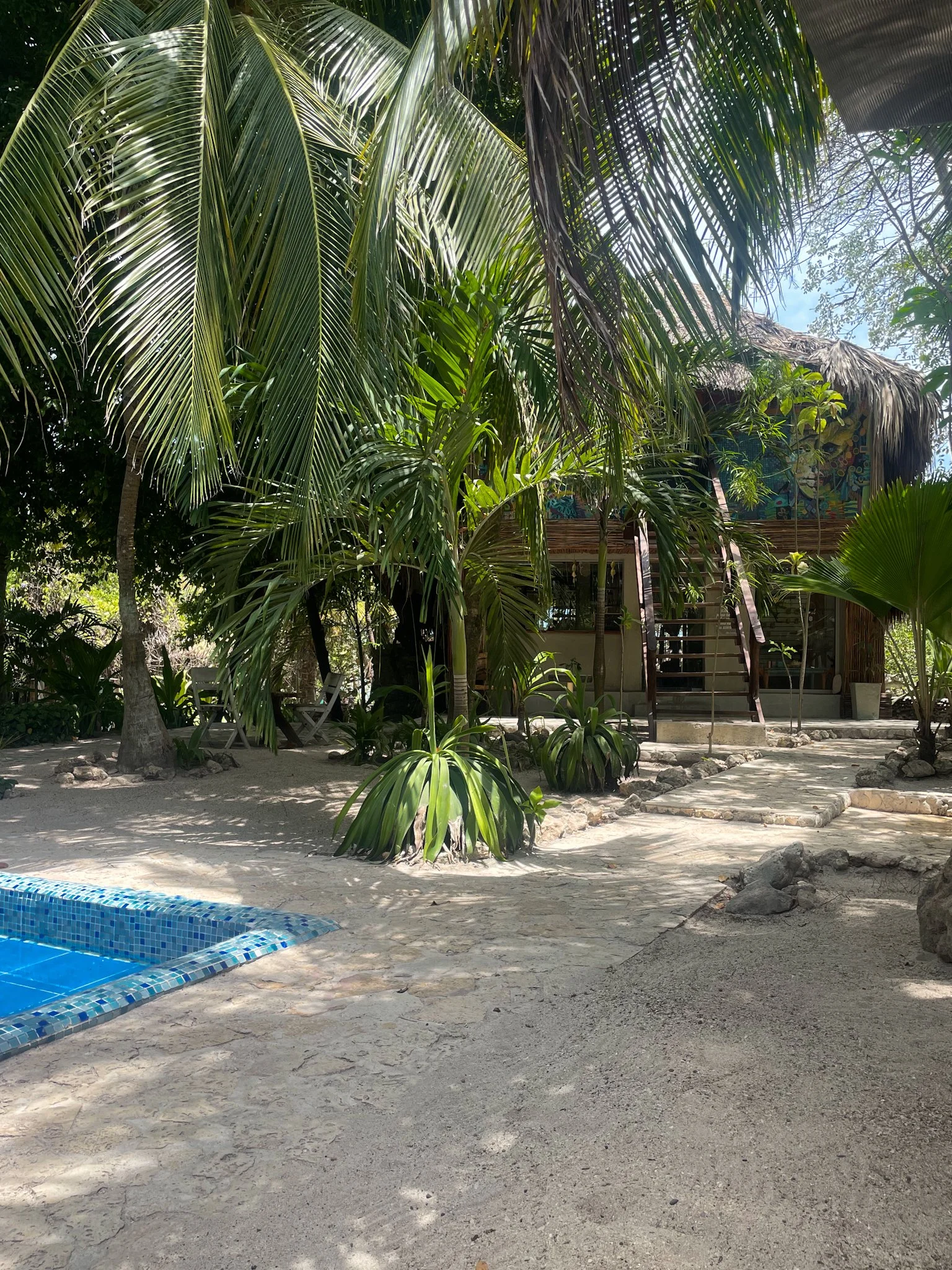 A tropical outdoor scene with lush green palm trees and a thatched-roof hut in the background. There is a swimming pool in the foreground with a tiled edge, and a sandy ground with rocks and stepping stones leading to the hut.