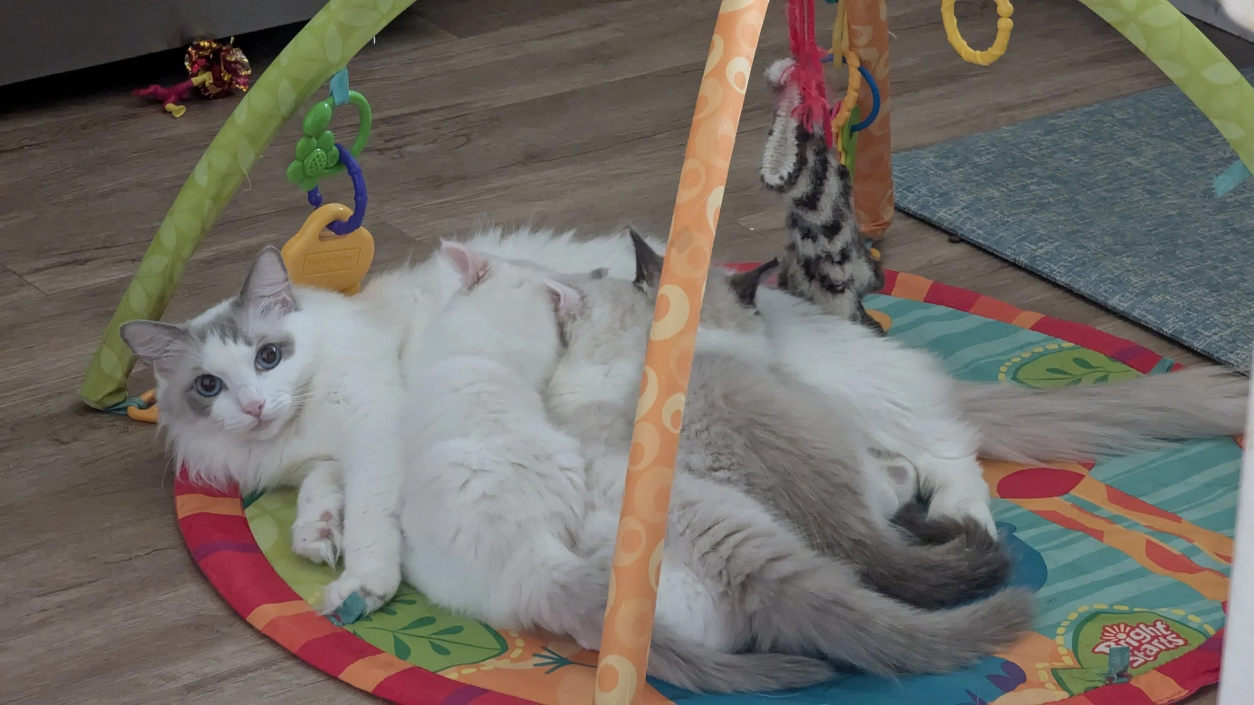 A Mother’s Love…