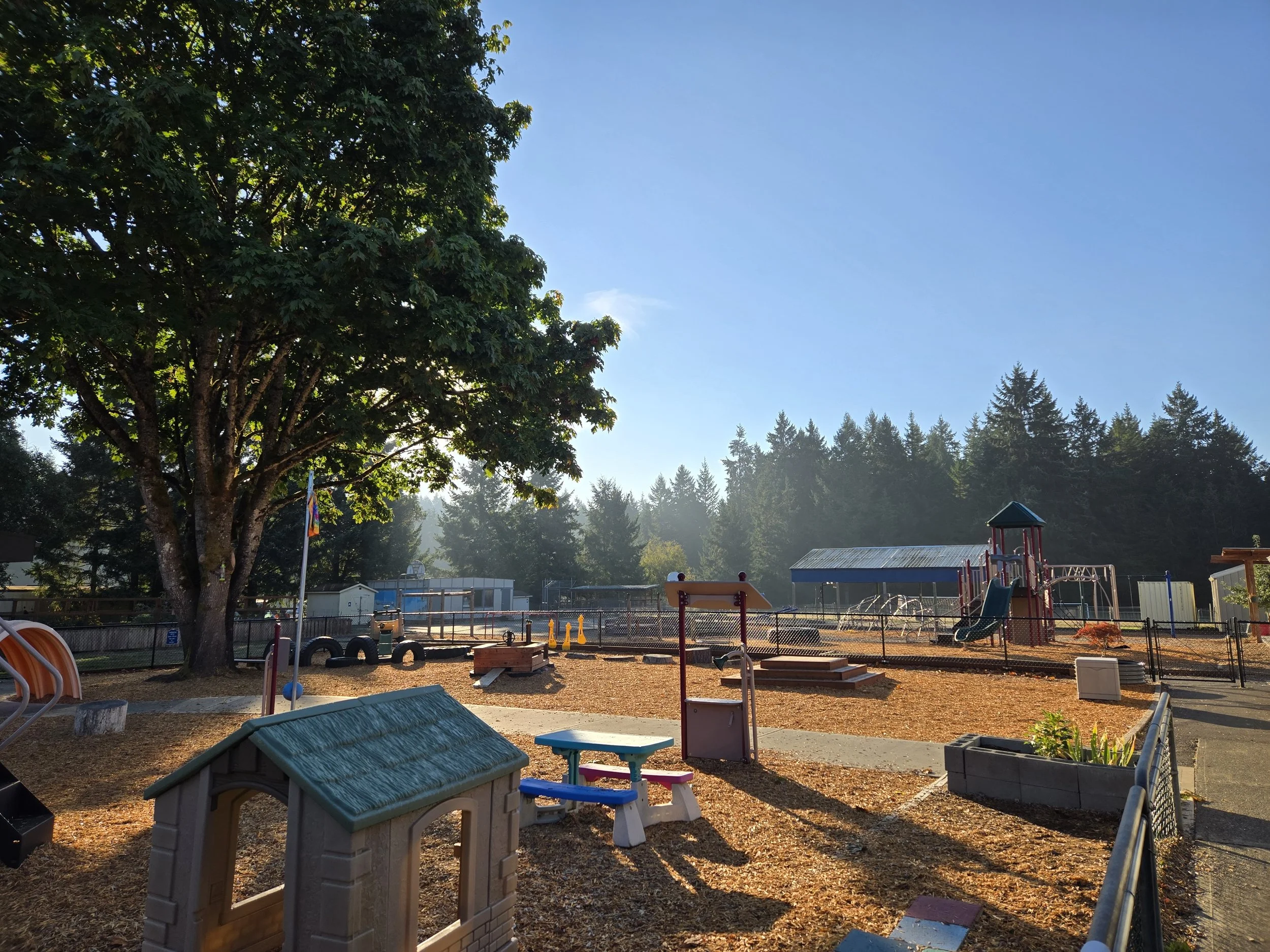 Empty playground with slides, climbing structures, sandbox, and a large tree, enclosed by a fence, with sunlight filtering through the trees.
