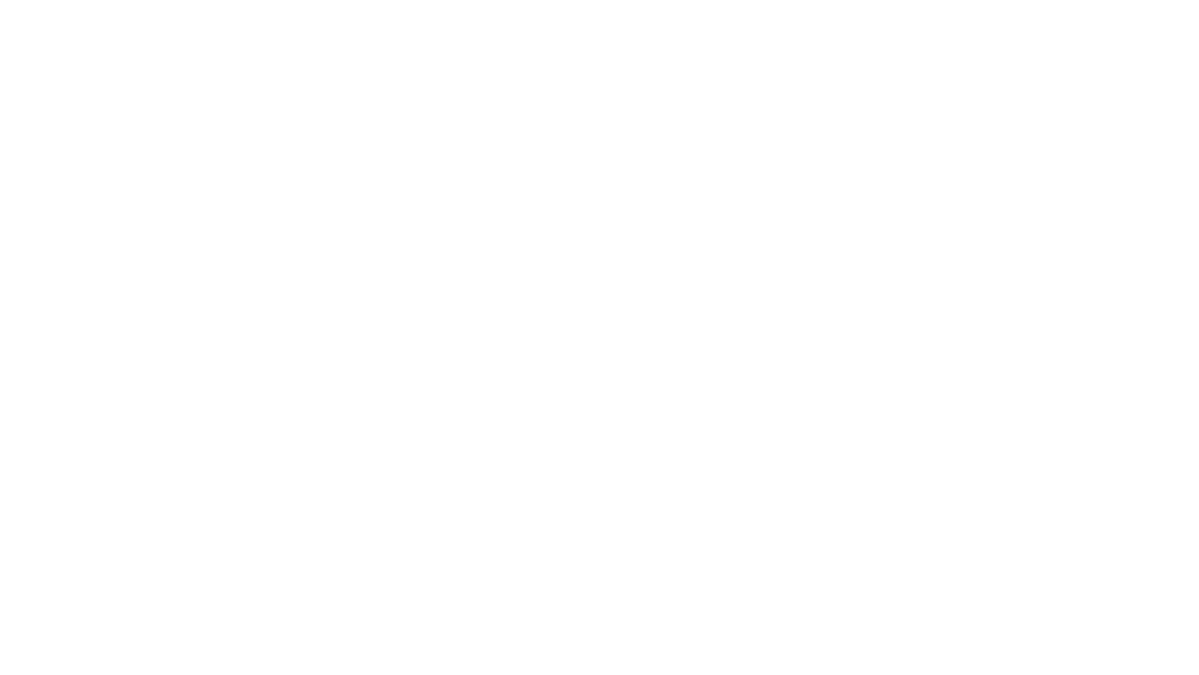 Black background with white text that says "BRIDES".