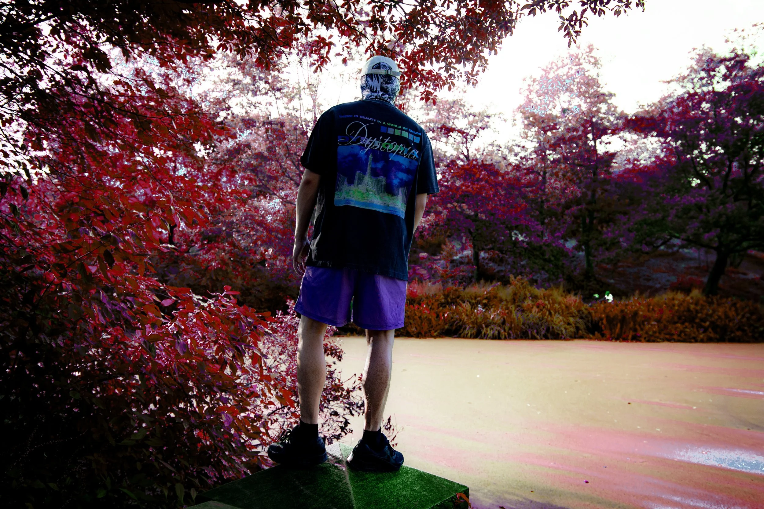 A person stands on a green platform near a pond with pink lily pads, surrounded by trees with vibrant red, purple, and pink leaves, in a colorful outdoor setting.