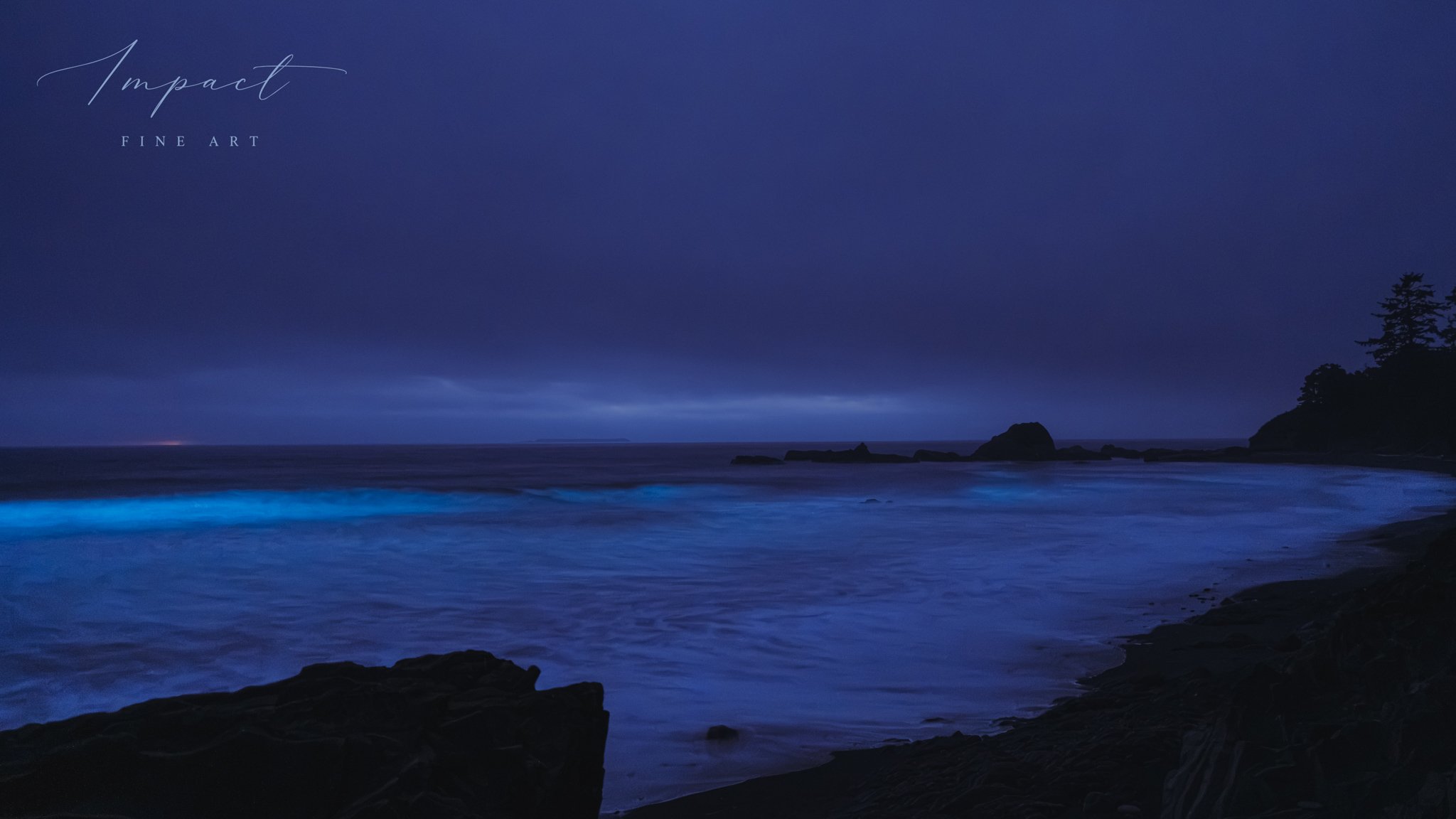 A7R02874-Edit.jpg