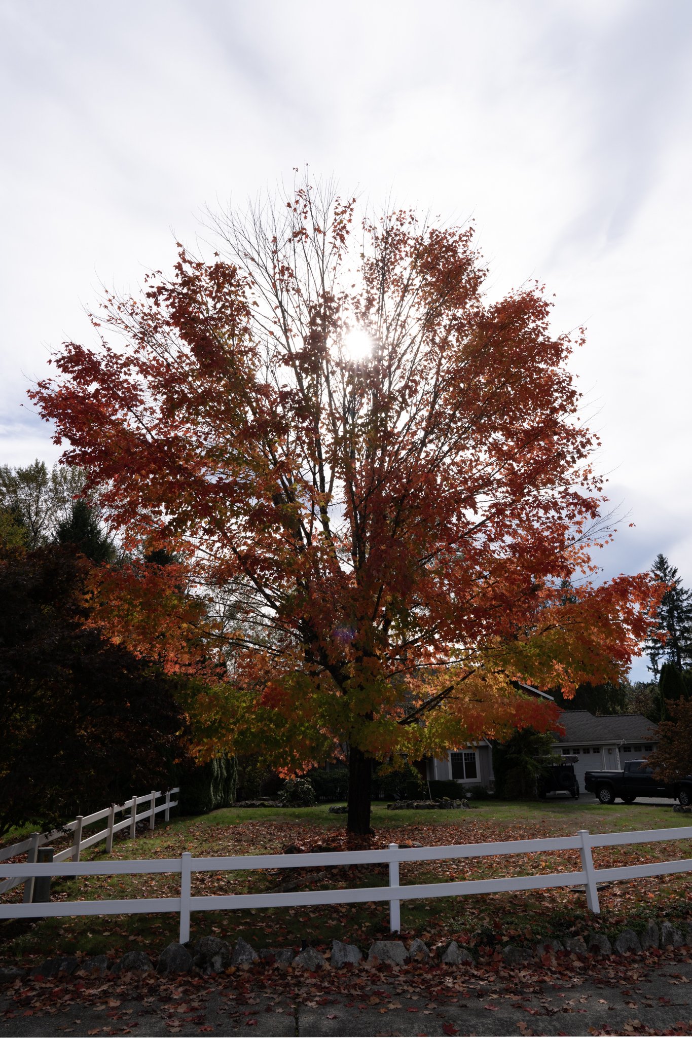 _DSC7612-HDR-2.jpg