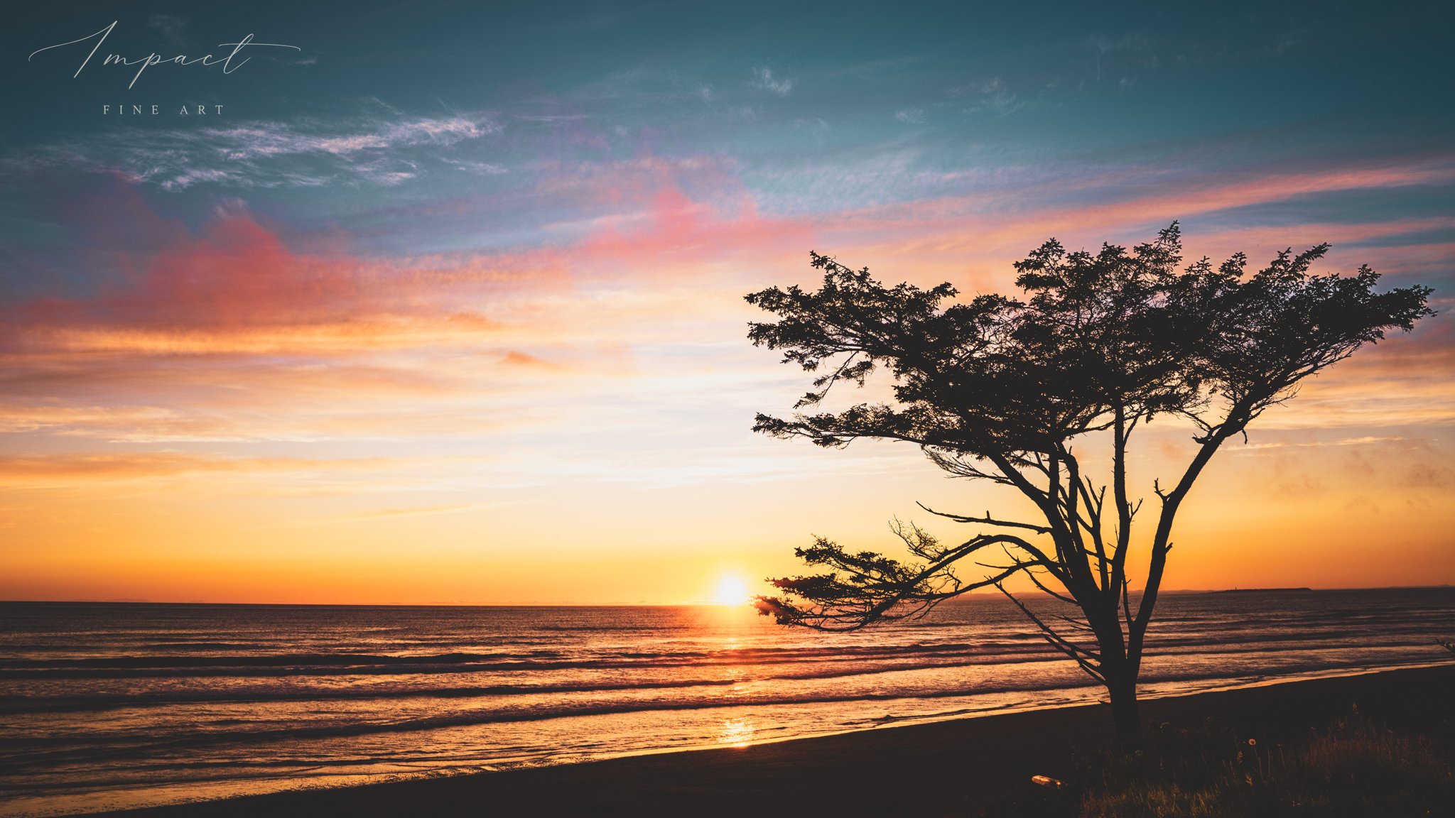 2025_Landscape_kalaloch_Sentinel of Fire_DSC4479-HDR.jpg