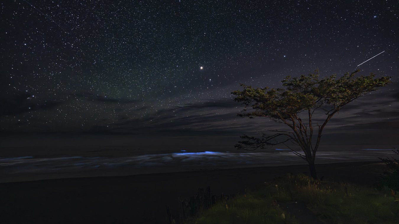 Whispers of the Tide