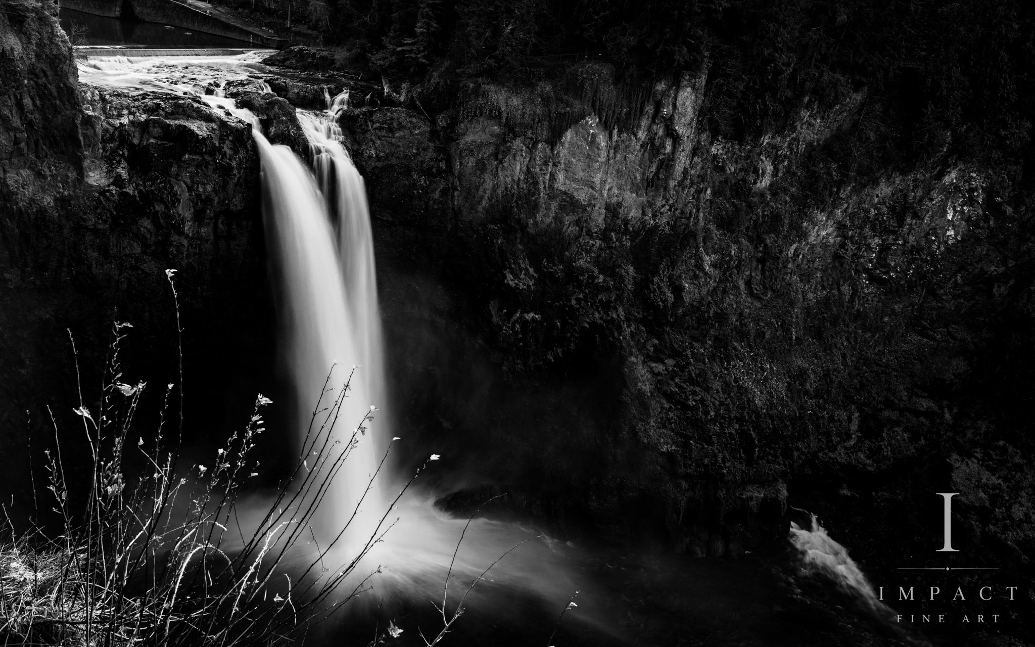 _DSC2972-Edit.jpg