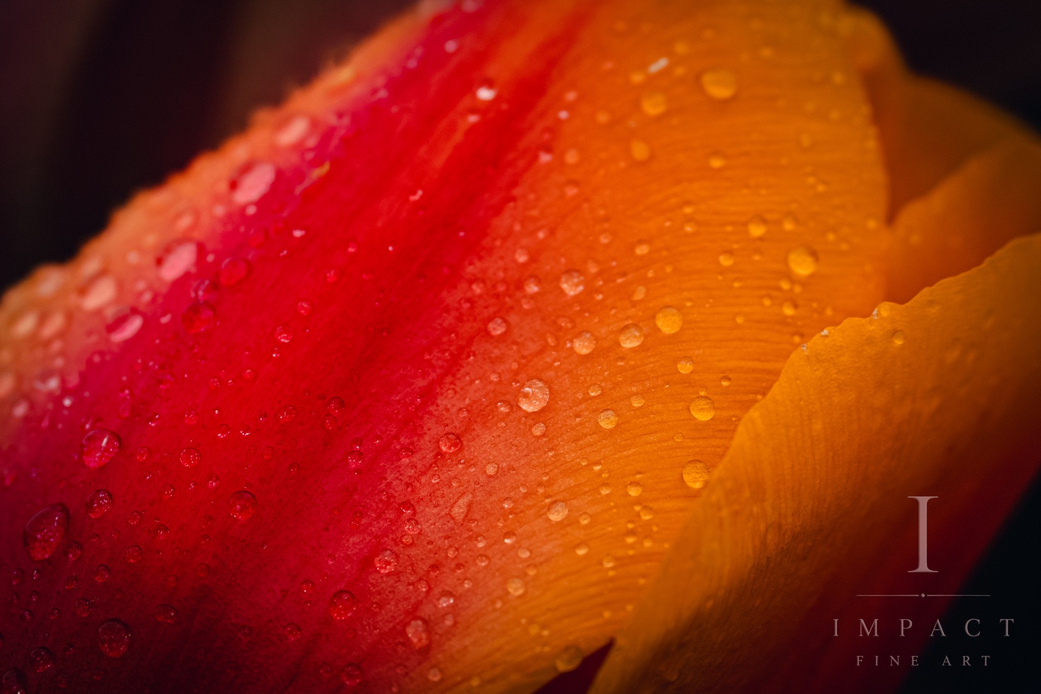 _ARV0980-Edit.jpg