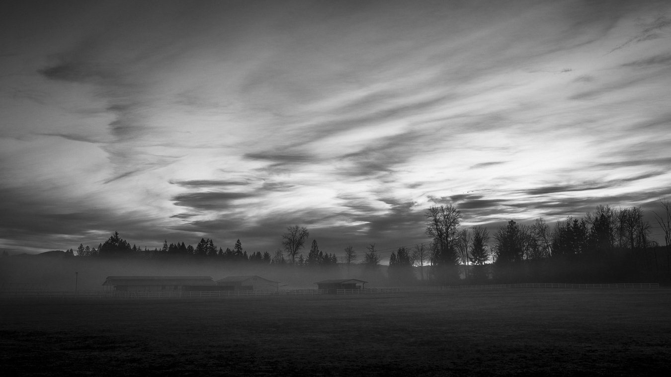 Veil Over the Pasture