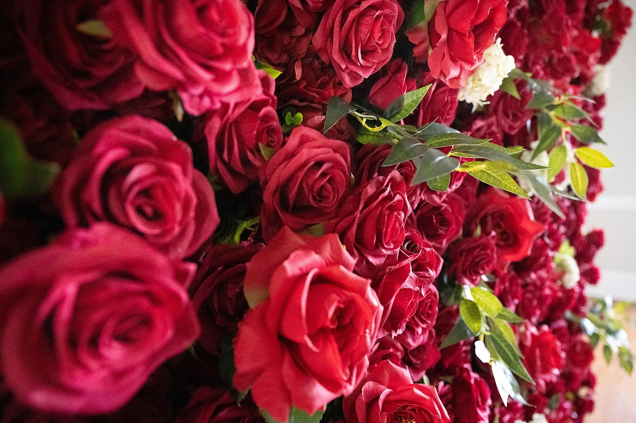 MNP_1409_WEB.jpg