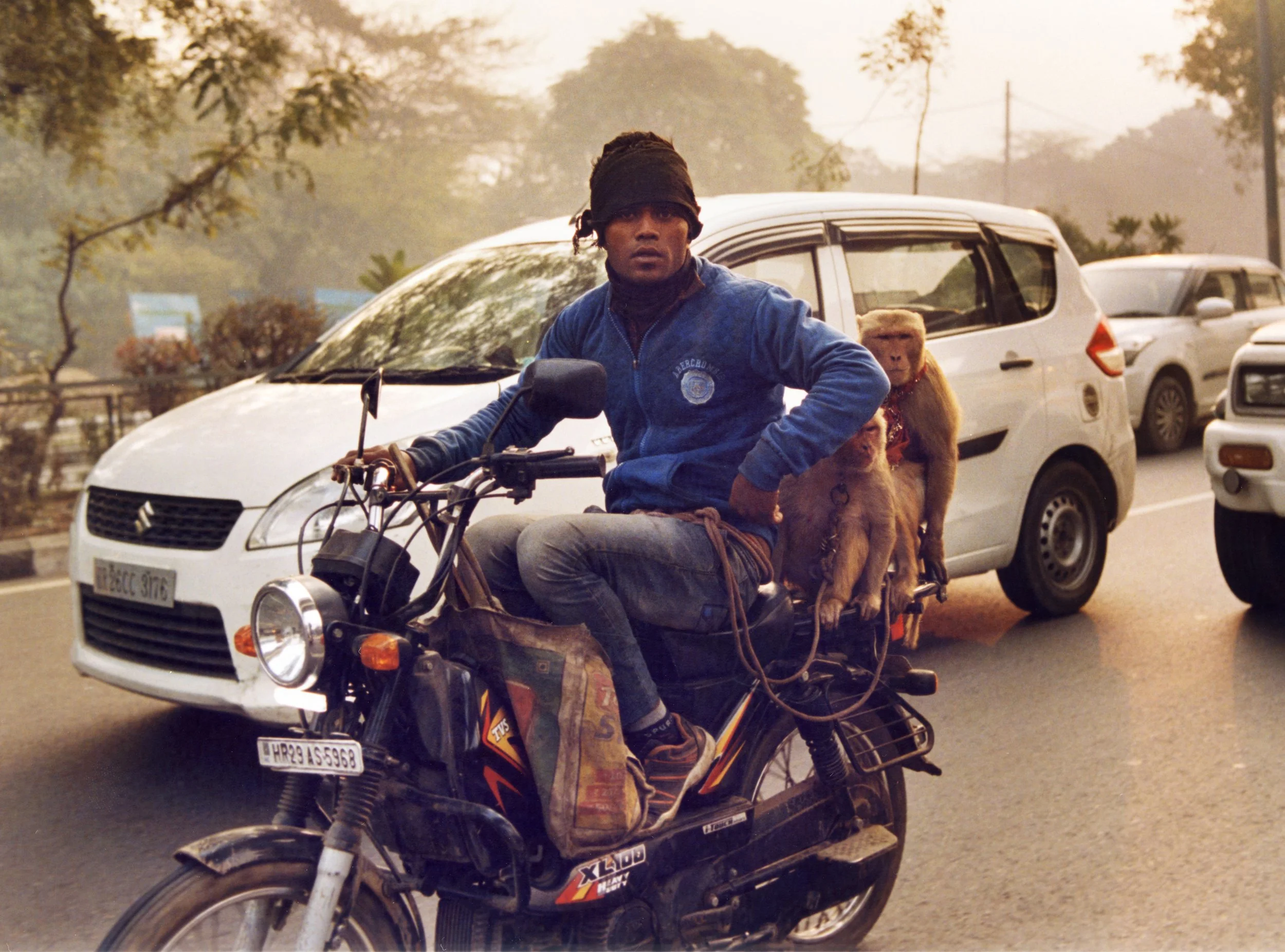 India MotorbikeMonkey_019insta.jpg