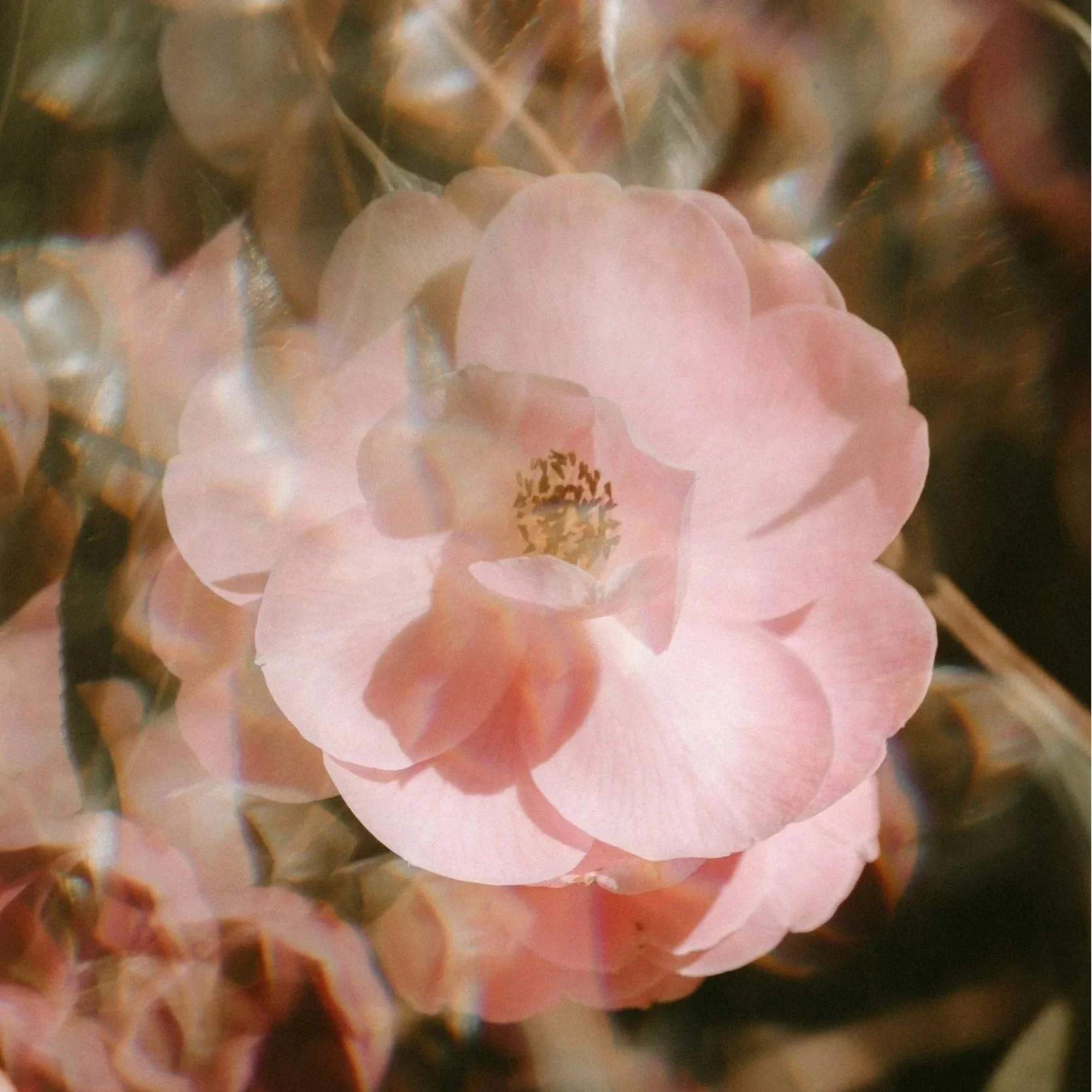 The Vilification of Hormones