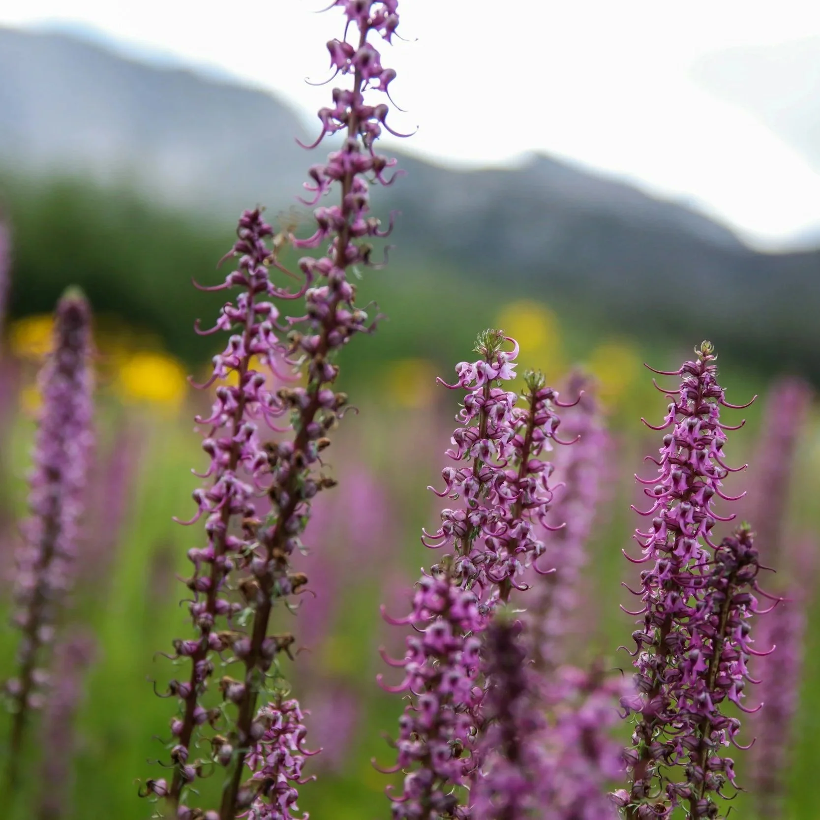 I Have My Function Health Results… Now What? Why Data Without Direction is Just Noise.