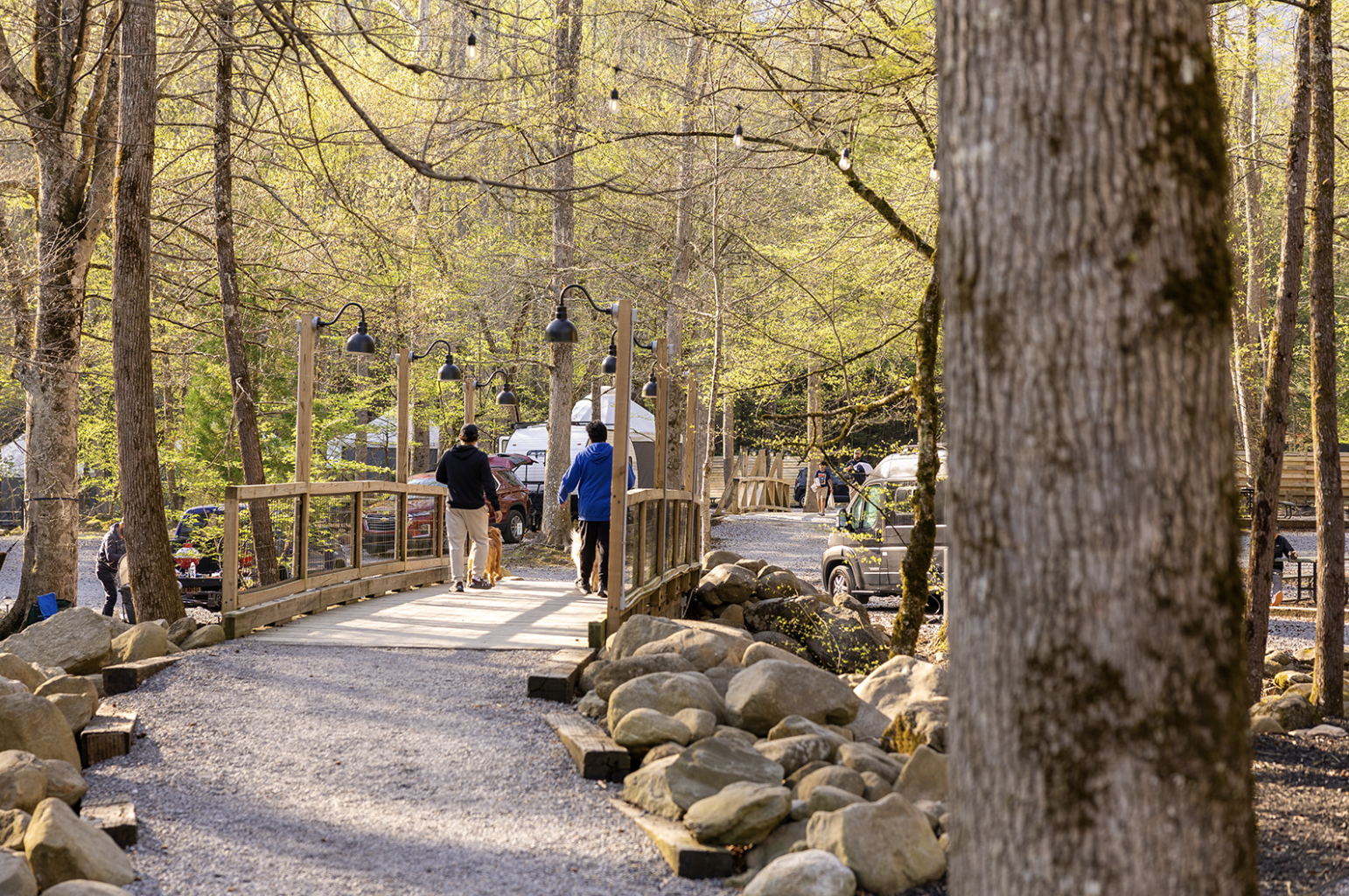 Screenshot 2026-04-23 at 12.56.03 PM.png