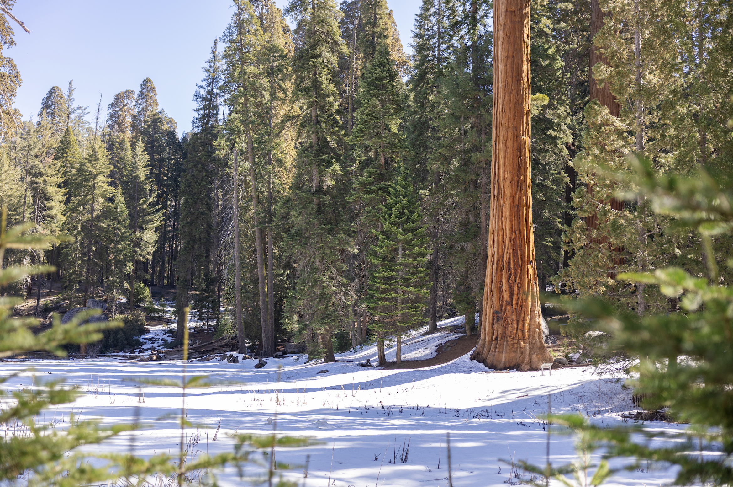 Screenshot 2026-04-18 at 8.11.53 PM.png