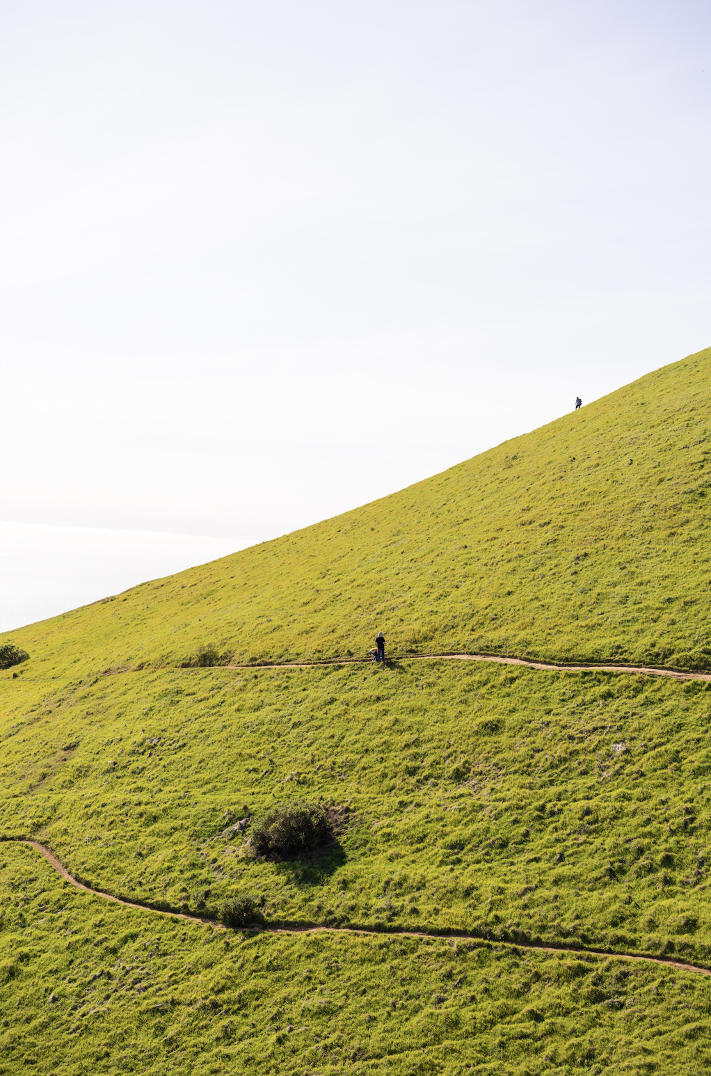 Screenshot 2026-04-18 at 8.11.00 PM.png