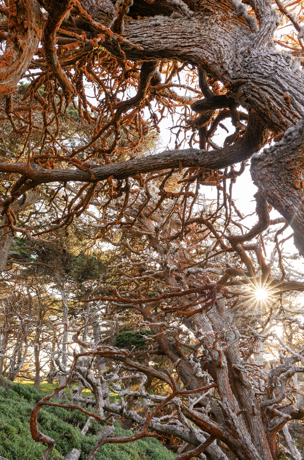 Screenshot 2026-04-18 at 8.09.28 PM.png