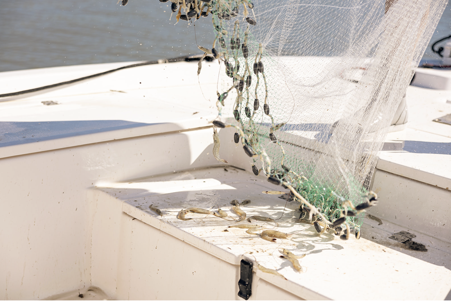 Screenshot 2026-01-09 at 12.08.09 PM.png