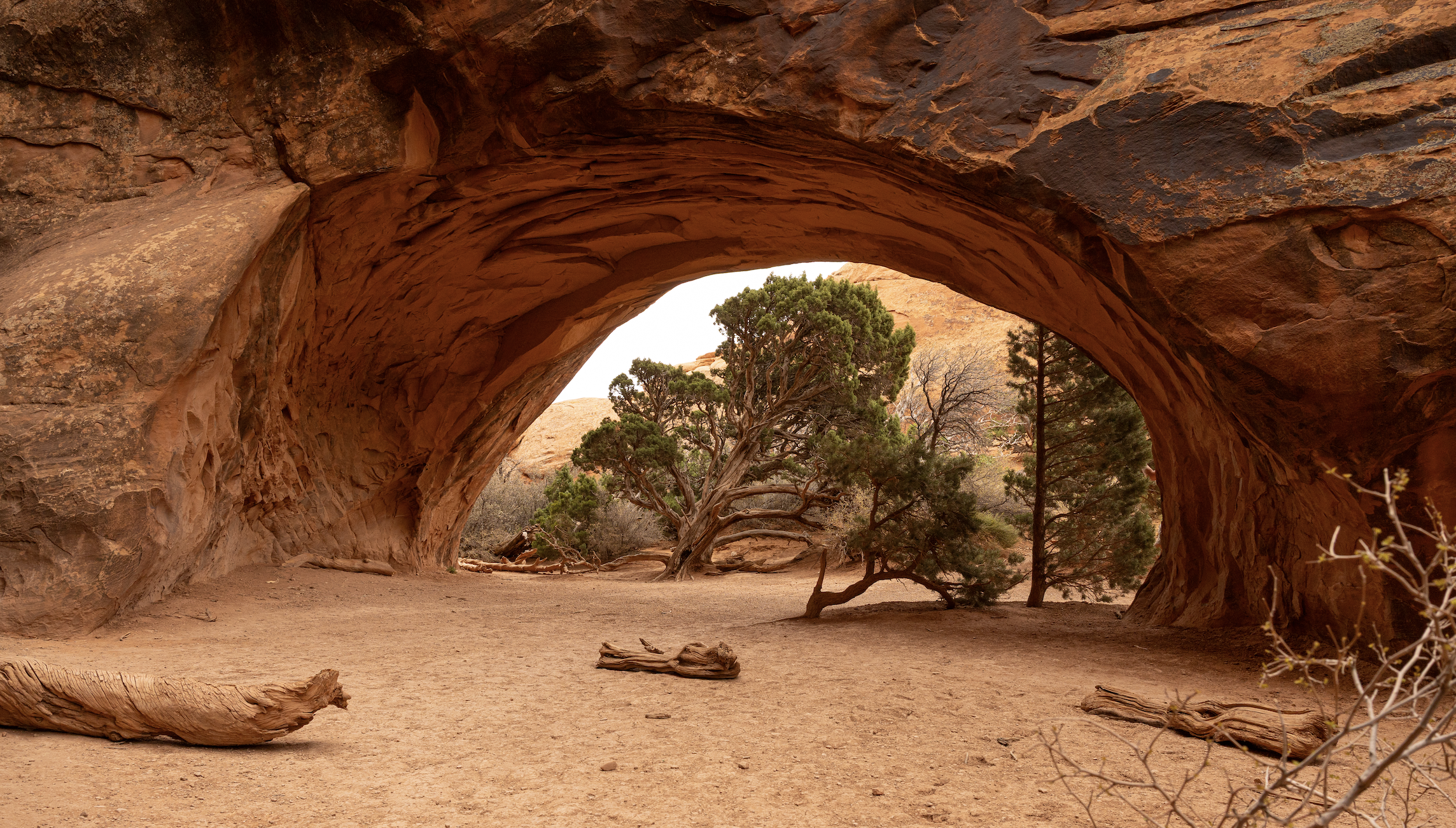 Screenshot 2025-08-22 at 1.46.54 PM.png