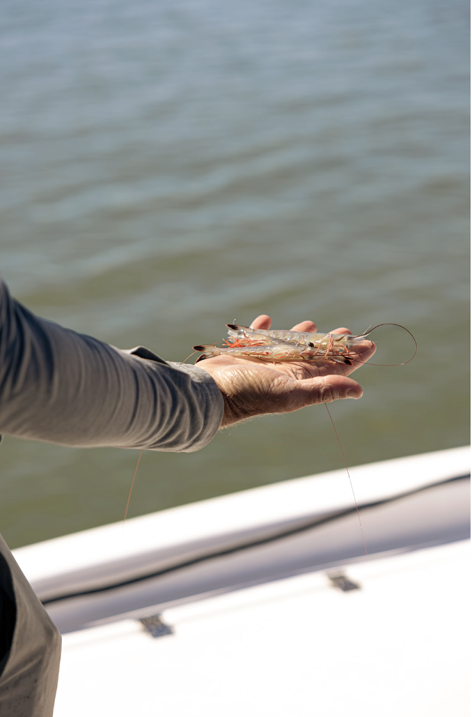 Screenshot 2026-01-09 at 12.07.32 PM.png