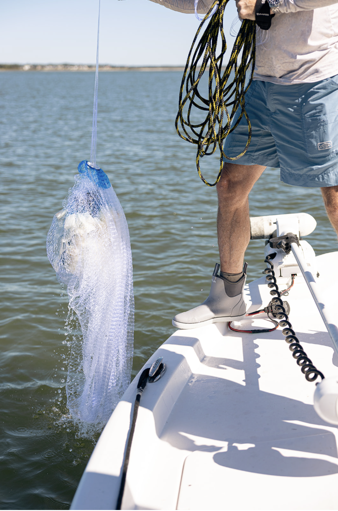 Screenshot 2026-01-09 at 12.07.13 PM.png