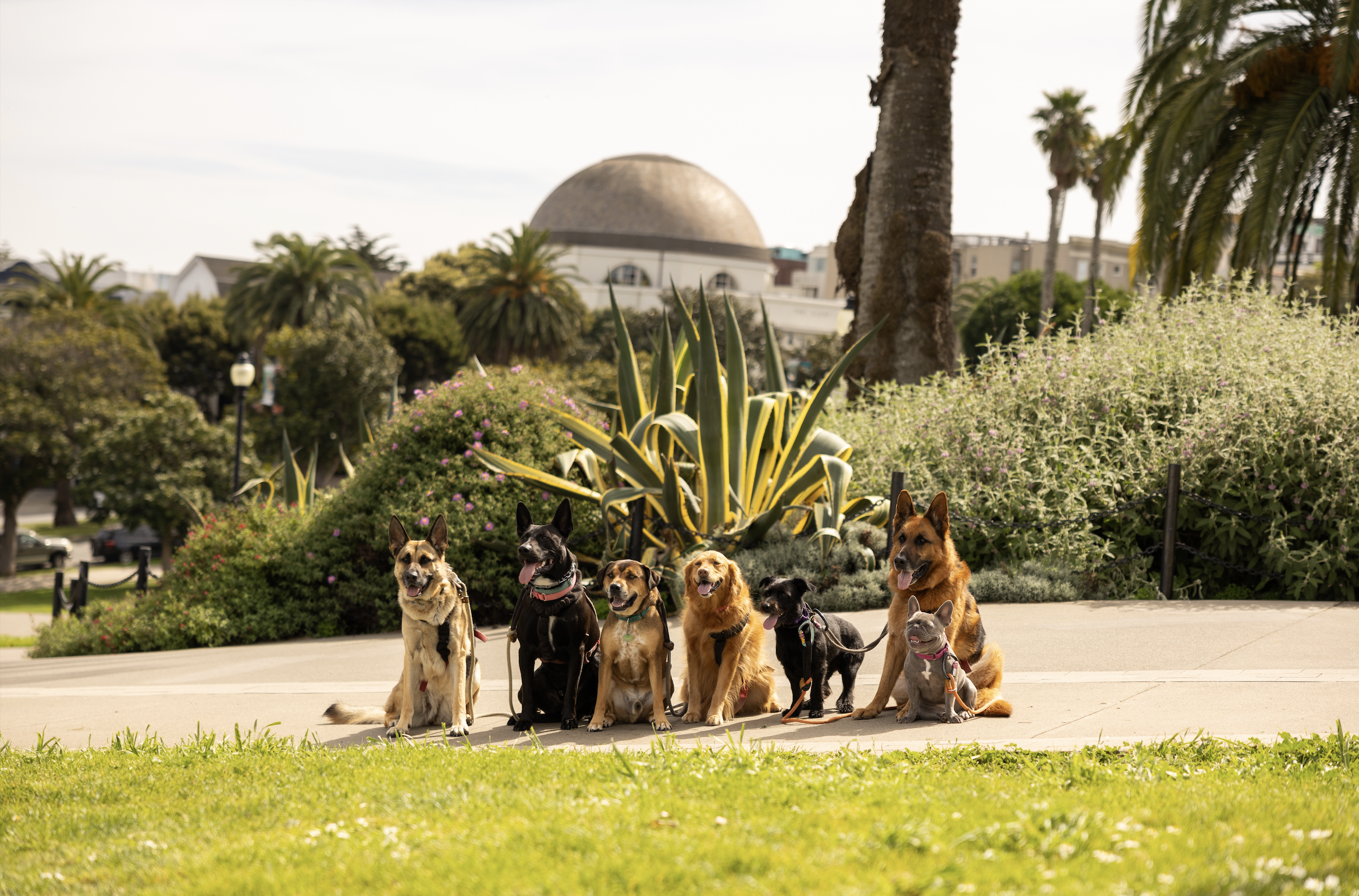 Screenshot 2026-04-18 at 8.10.17 PM.png