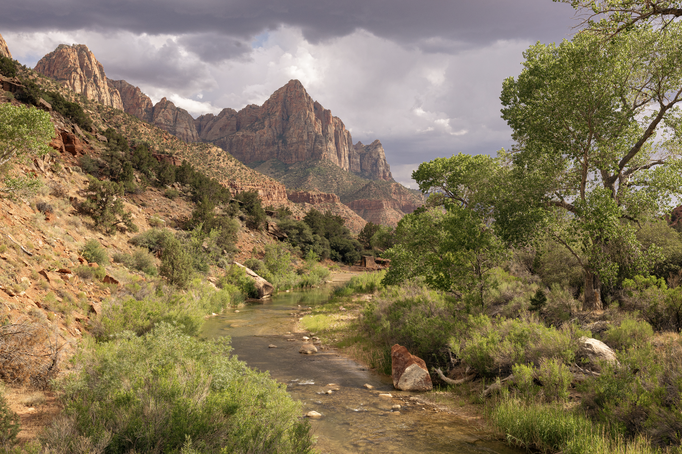 Screenshot 2025-12-08 at 1.32.38 PM.png