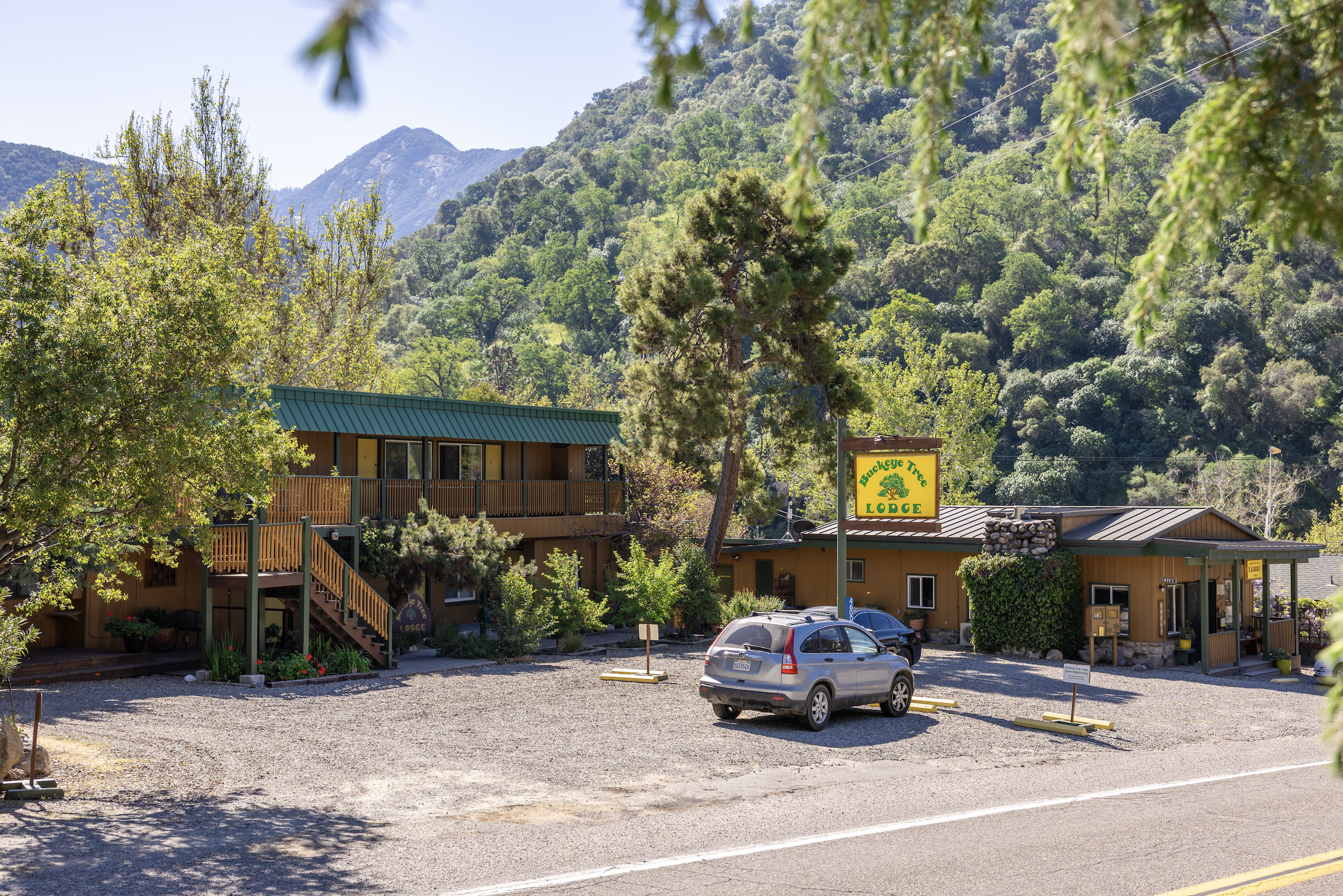 Buckeye Tree Lodge, Three Rivers CA