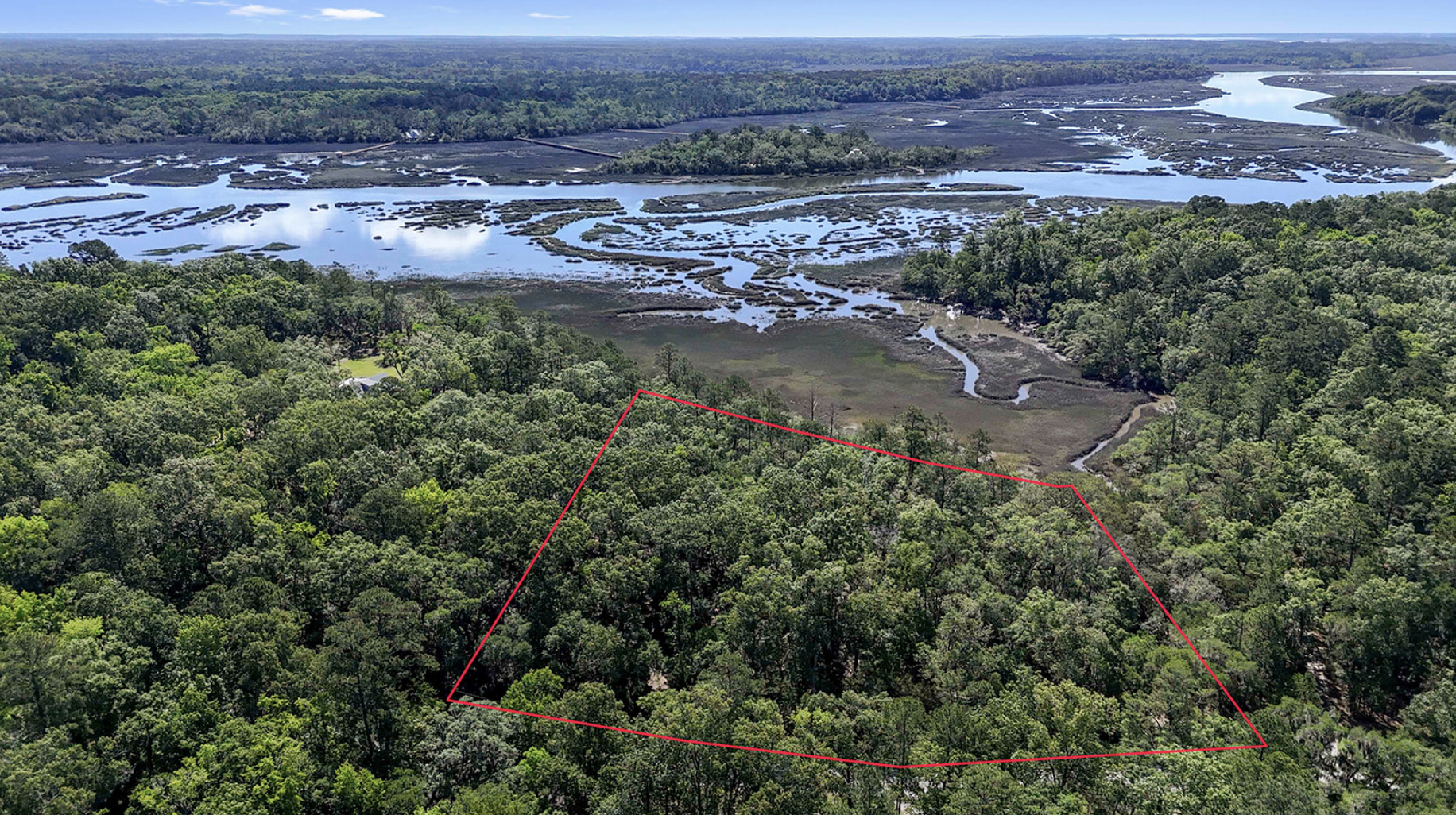 Aerial view of a lush green forest with water bodies and marshlands in the background. A red boundary lines a section of the dense forest.