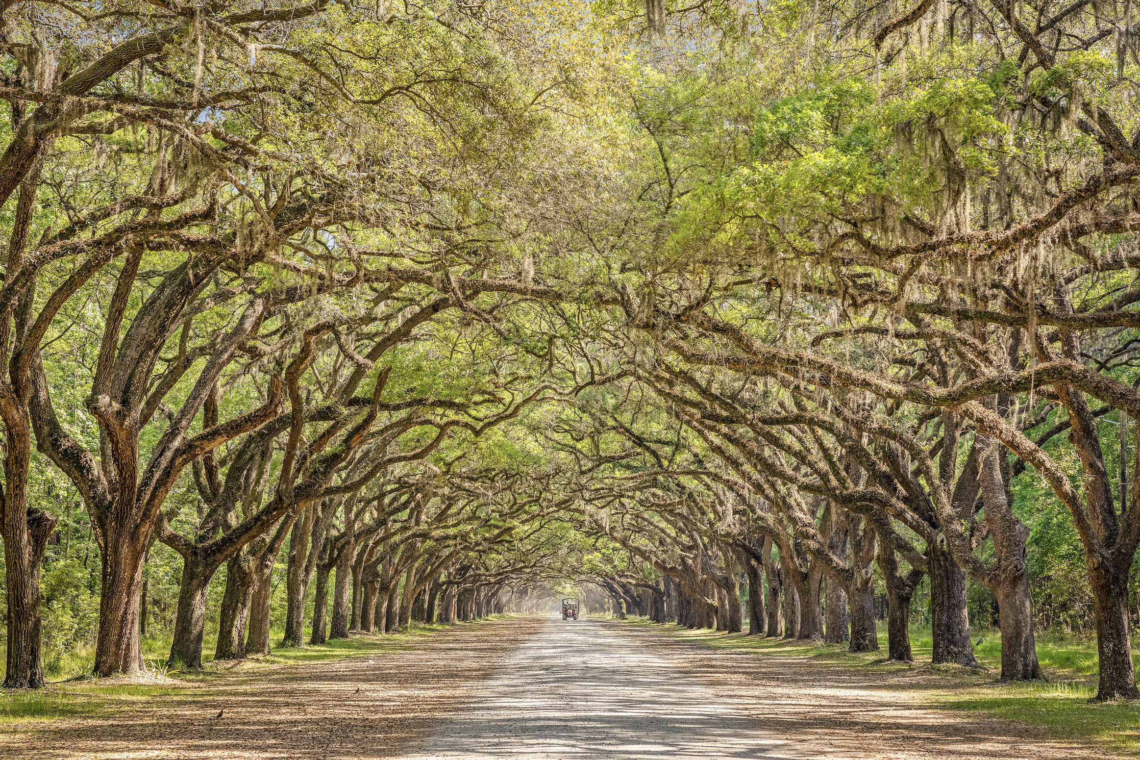 Screenshot 2026-04-20 at 1.30.21 PM.png