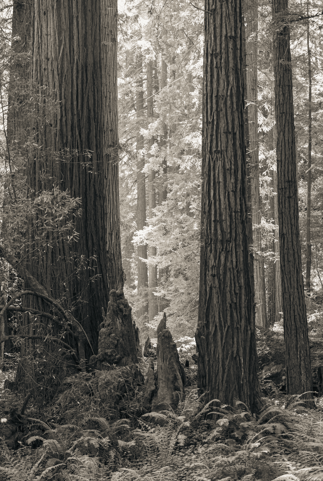 Screenshot 2026-04-18 at 8.10.47 PM.png