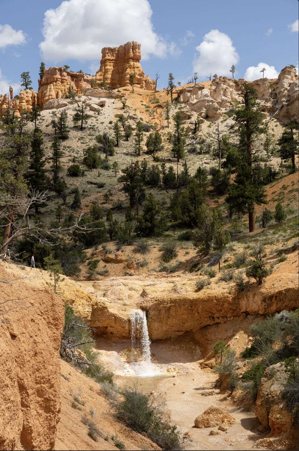 Screenshot 2025-12-08 at 1.24.09 PM.png