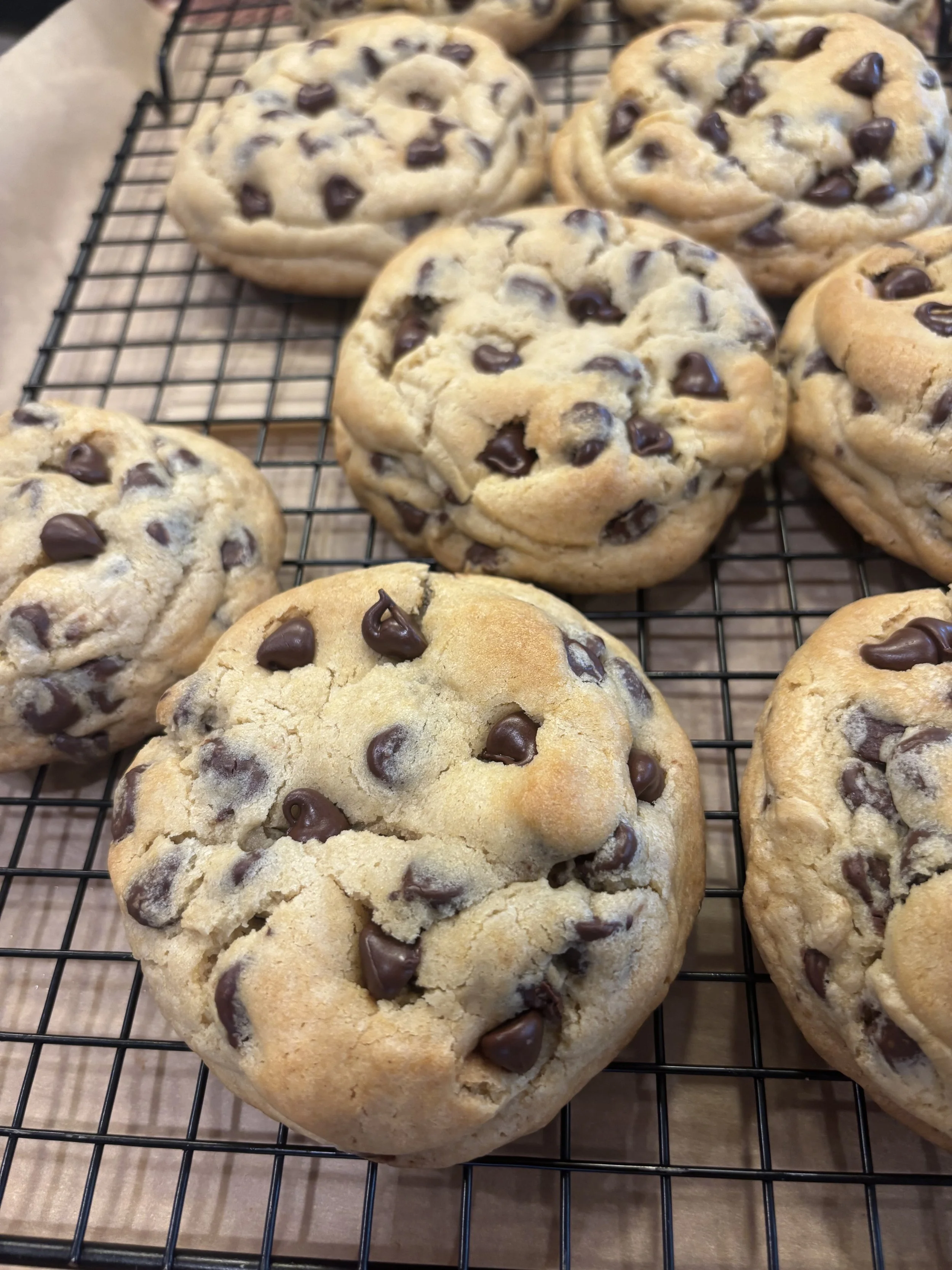 Chocolate chip cookies cooling on a black wire rack.