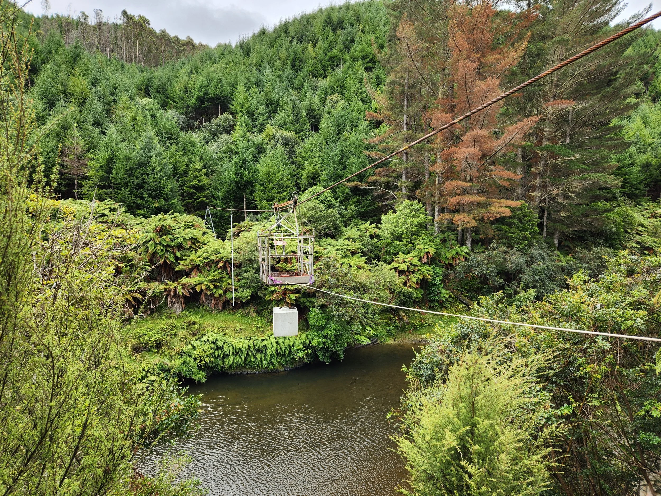 Suspended chairlift over a river, surrounded by lush green and some brownish trees in a forested area.