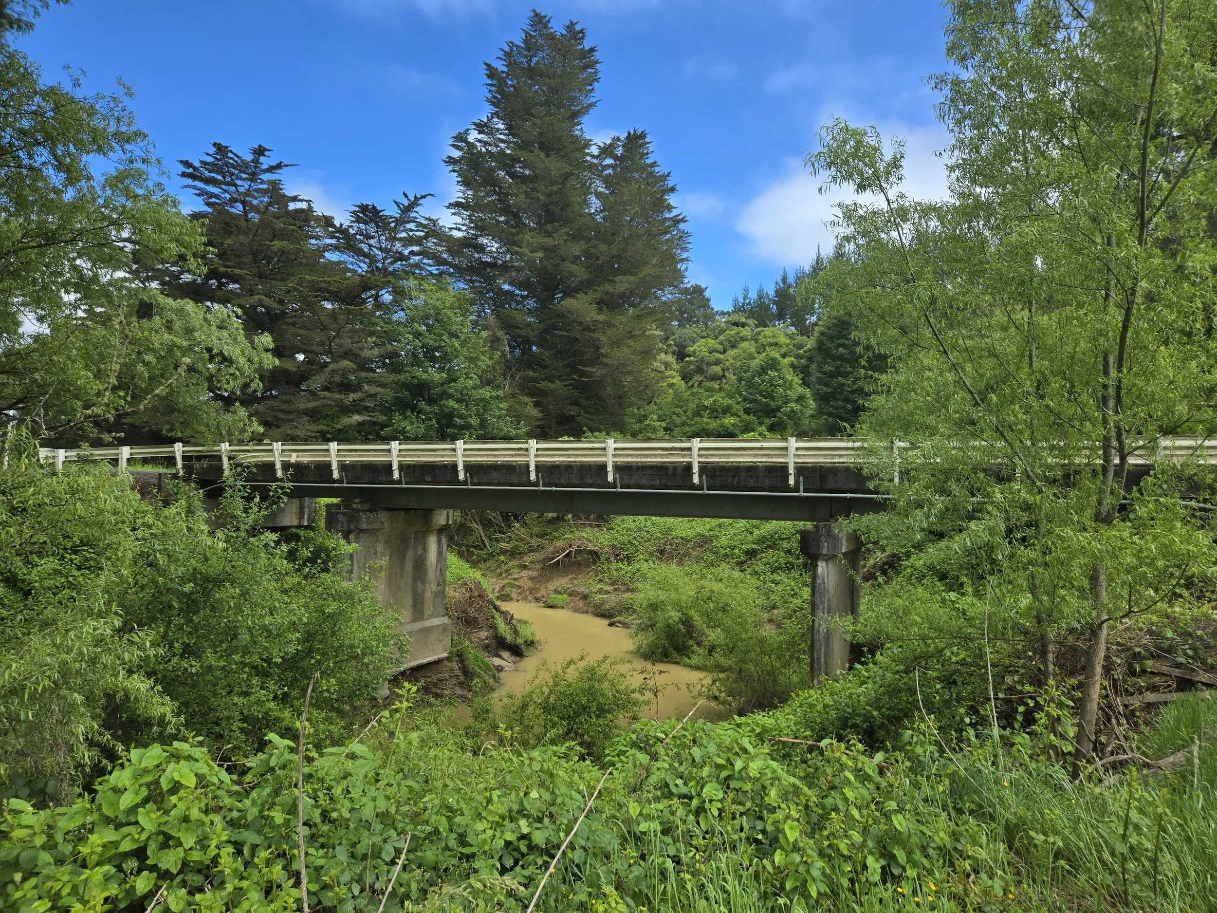 A bridge crossing over a muddy river surrounded by green trees and foliage.