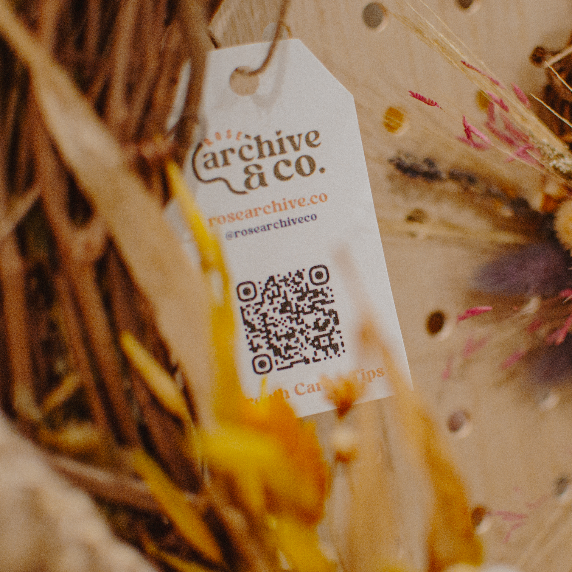 why i started rose archive + co.