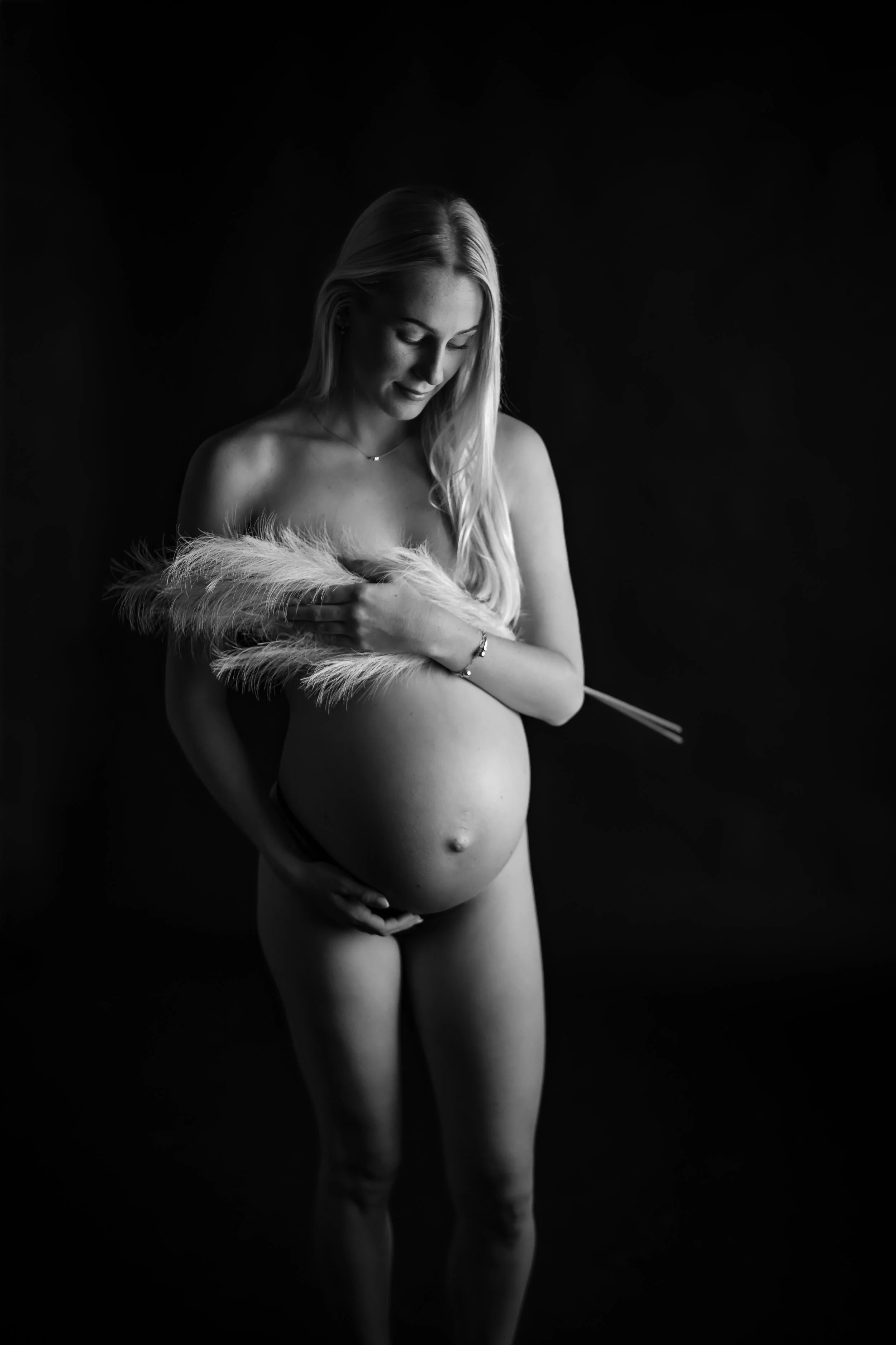 DSC_0533.JPG