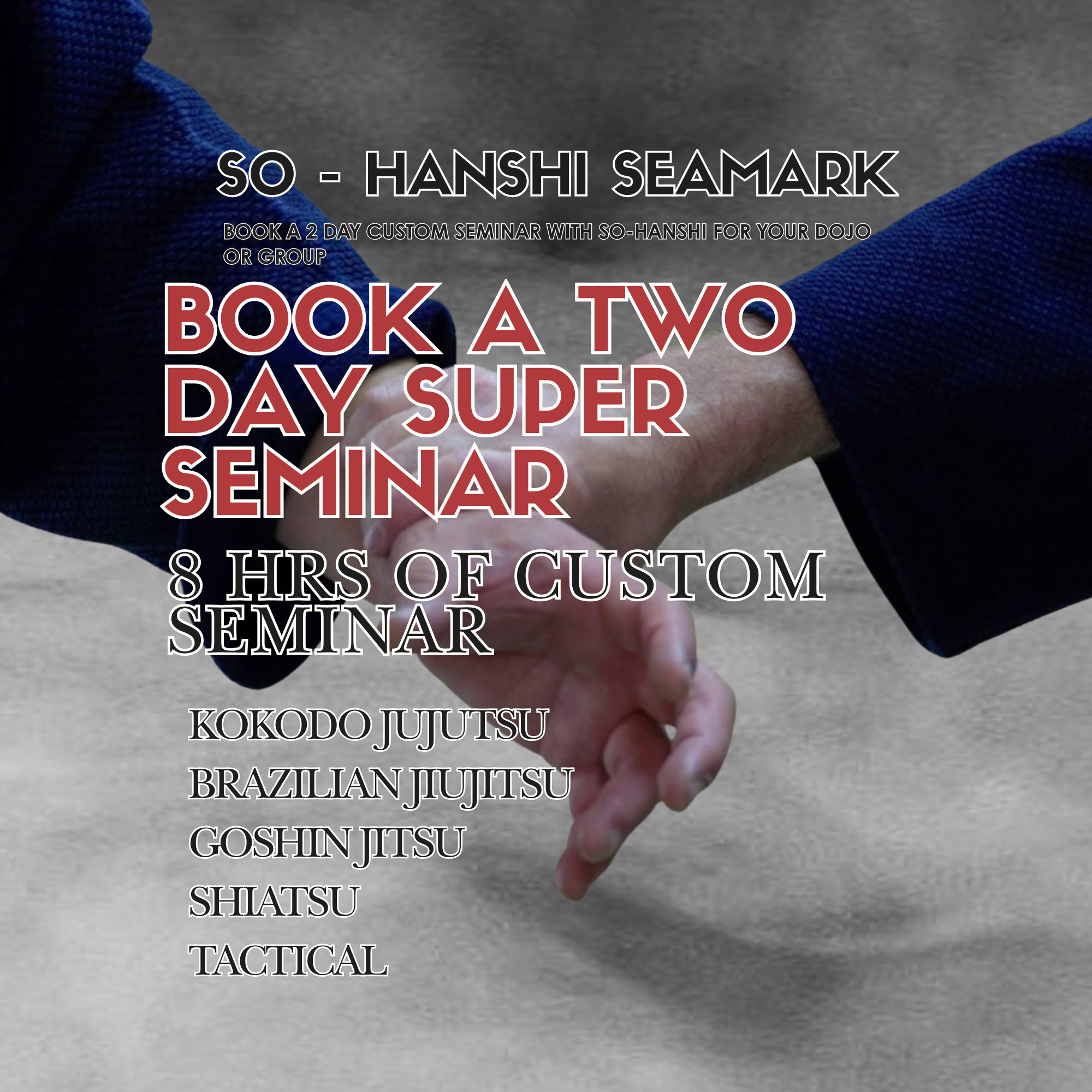 2 DAY SUPER SEMINAR (CUSTOM)