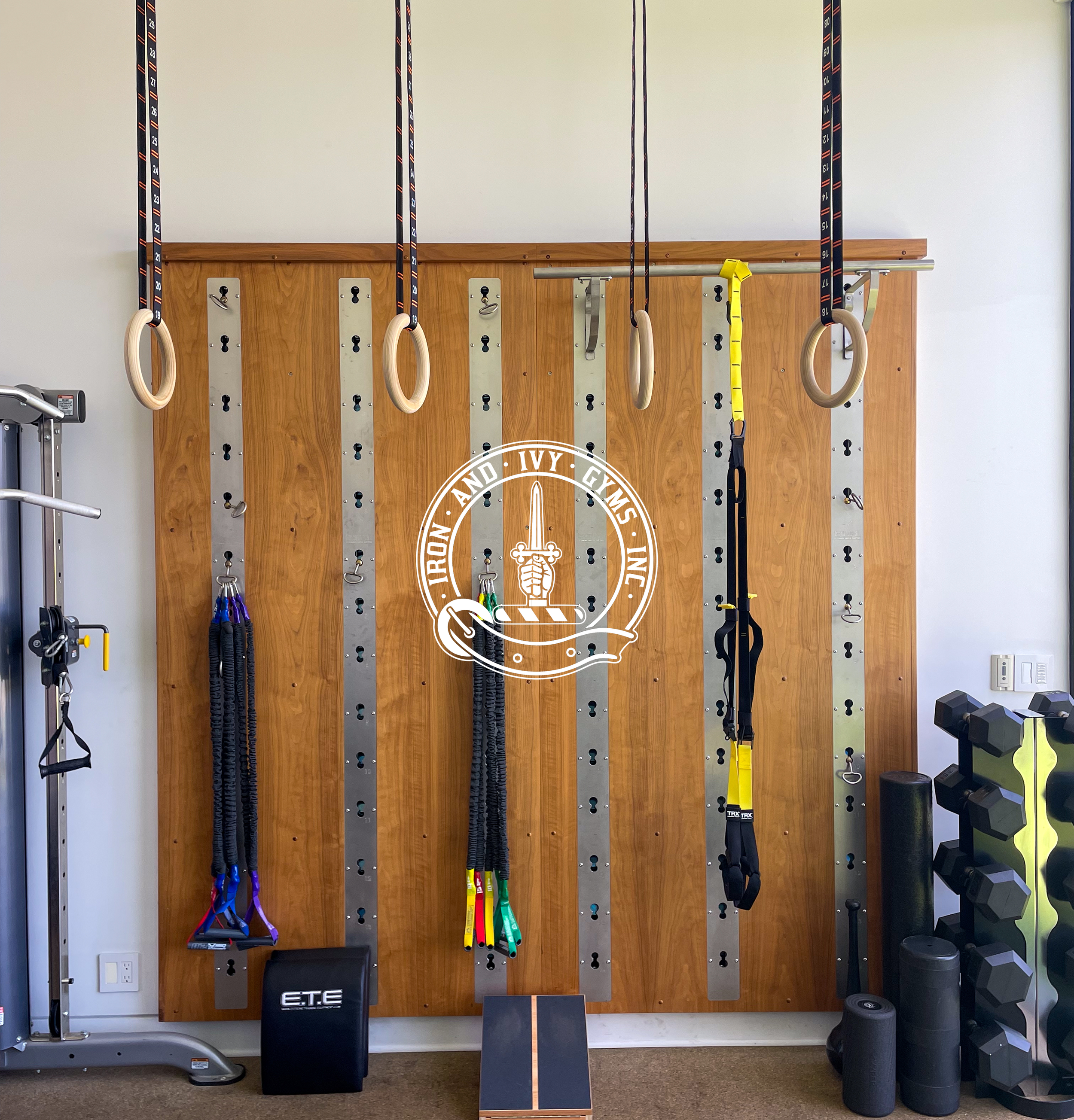 Gym wall with wooden panels and metal hooks, gymnastic rings hanging from black and orange straps, resistance bands in various colors, a yellow and black suspension trainer, black foam rollers, and a rack of dumbbells on the right.