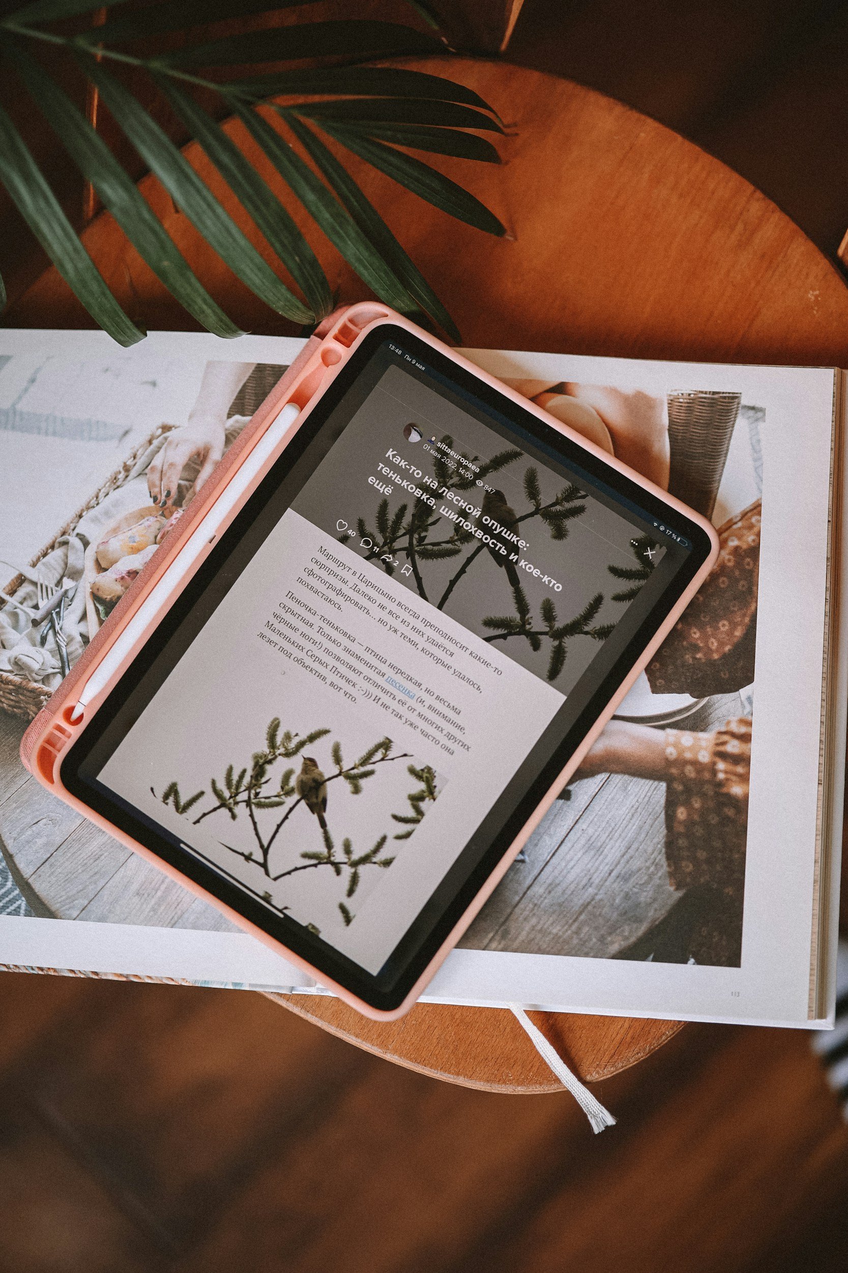 A tablet placed on an open magazine showing a page with a tree branch and a bird, resting on a wooden table next to a green plant leaf.