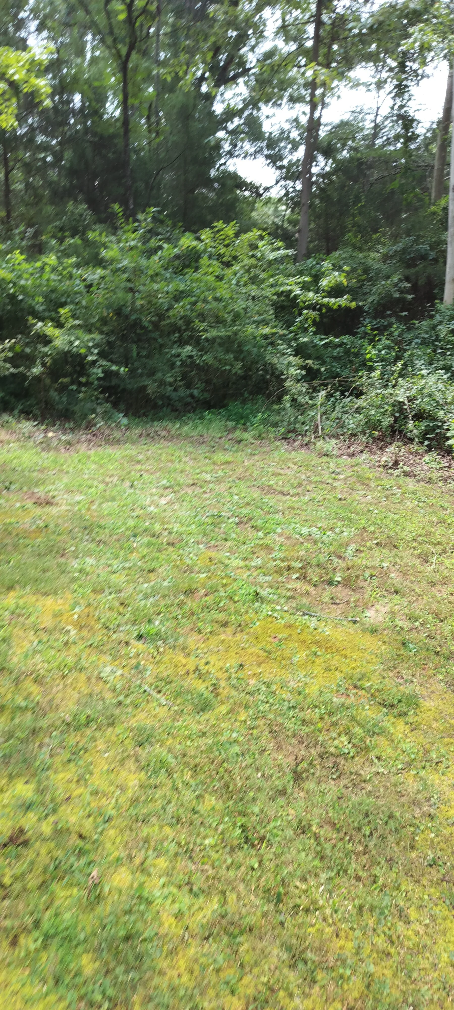 IMG20250808123821.jpg